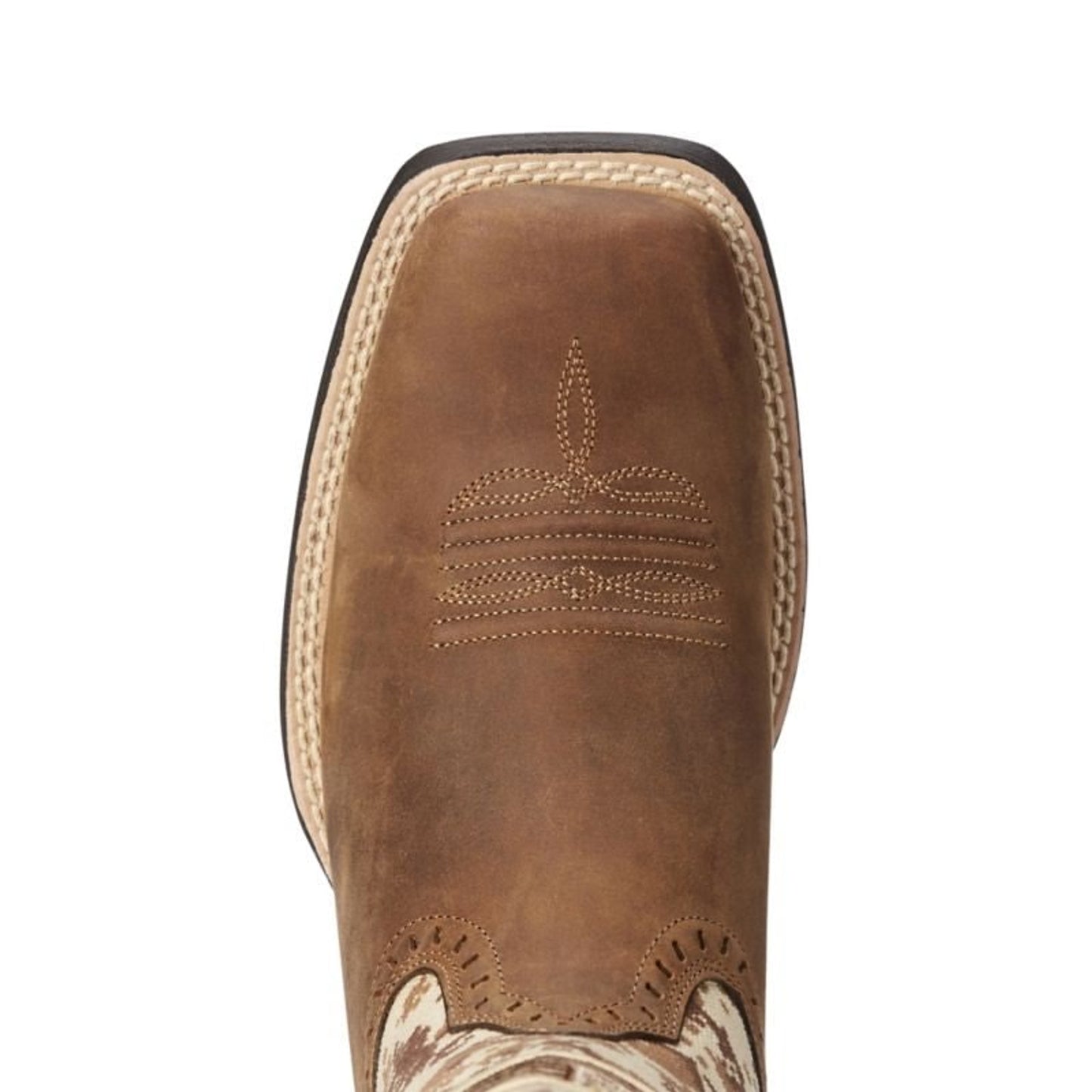 TE024675_toe.jpg