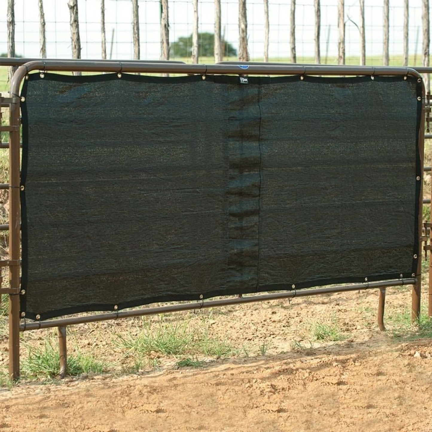 TE025847.jpg