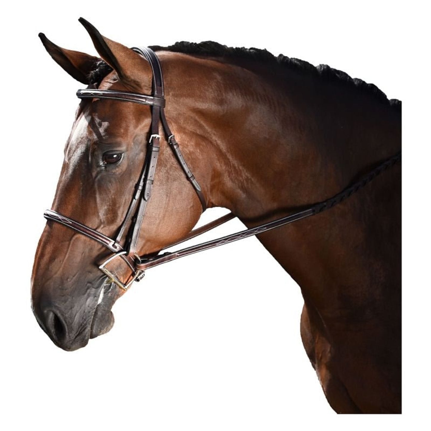 TE027839_P_796540.jpg
