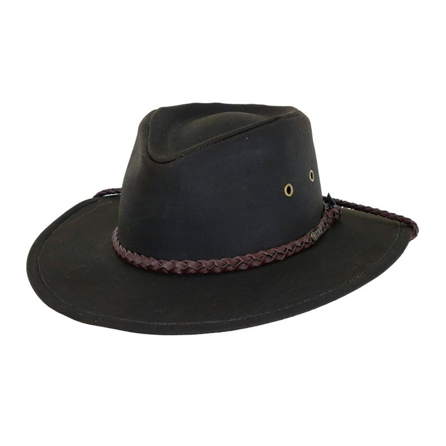 TE031909_841604_BROWN.jpg