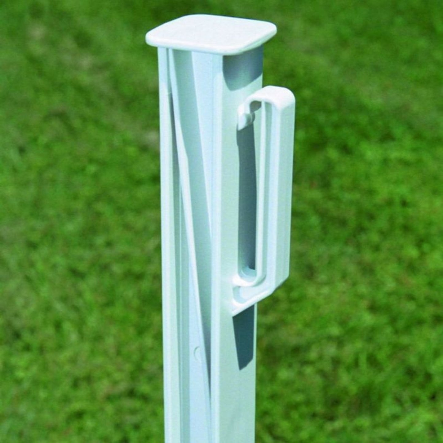 TE034095_01.jpg