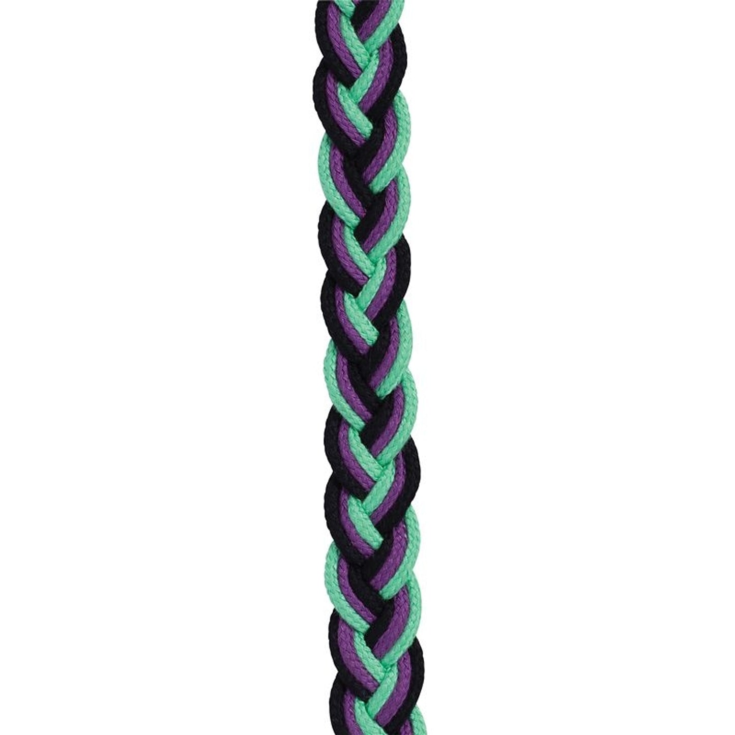 TE034690_914683_04.jpg