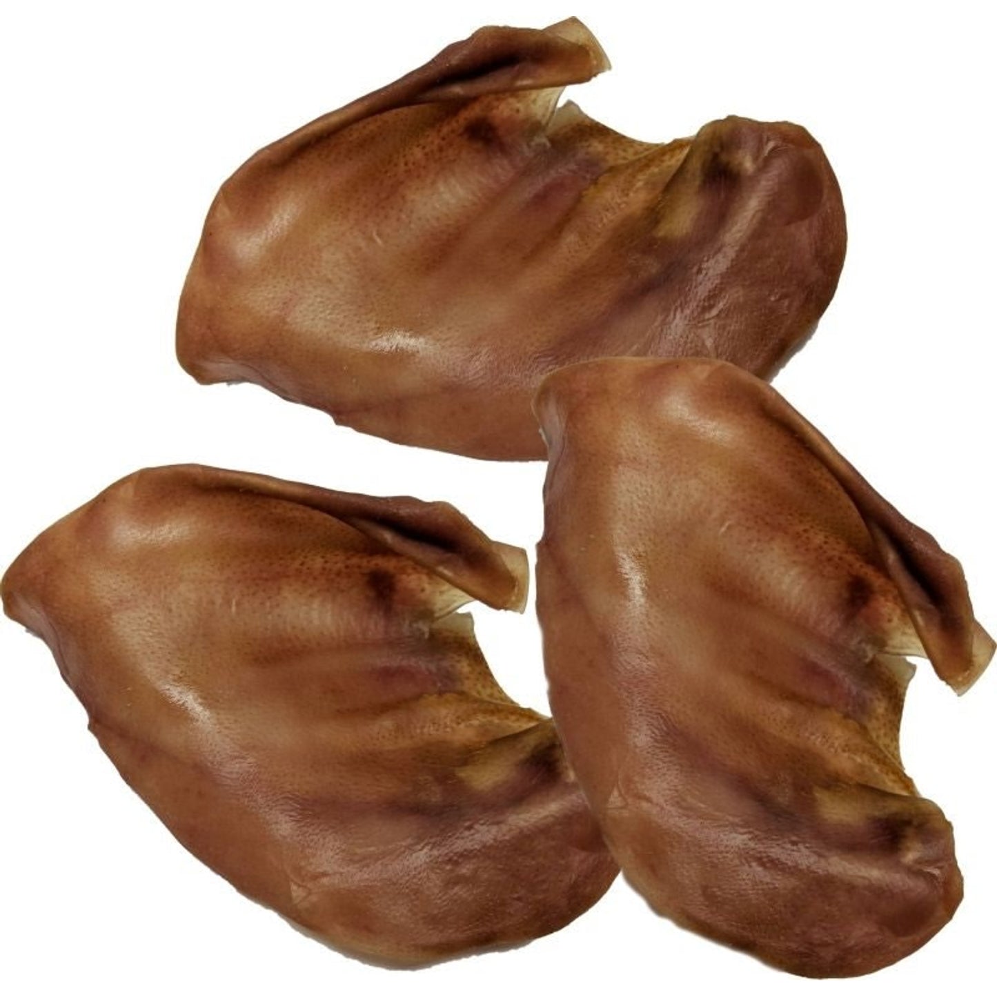 TE038693_P.jpg