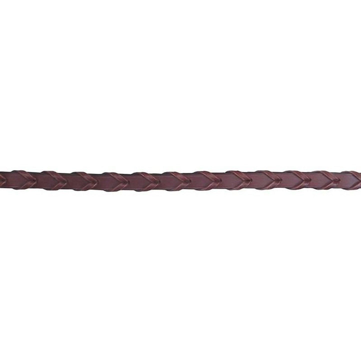 TE045504.jpg