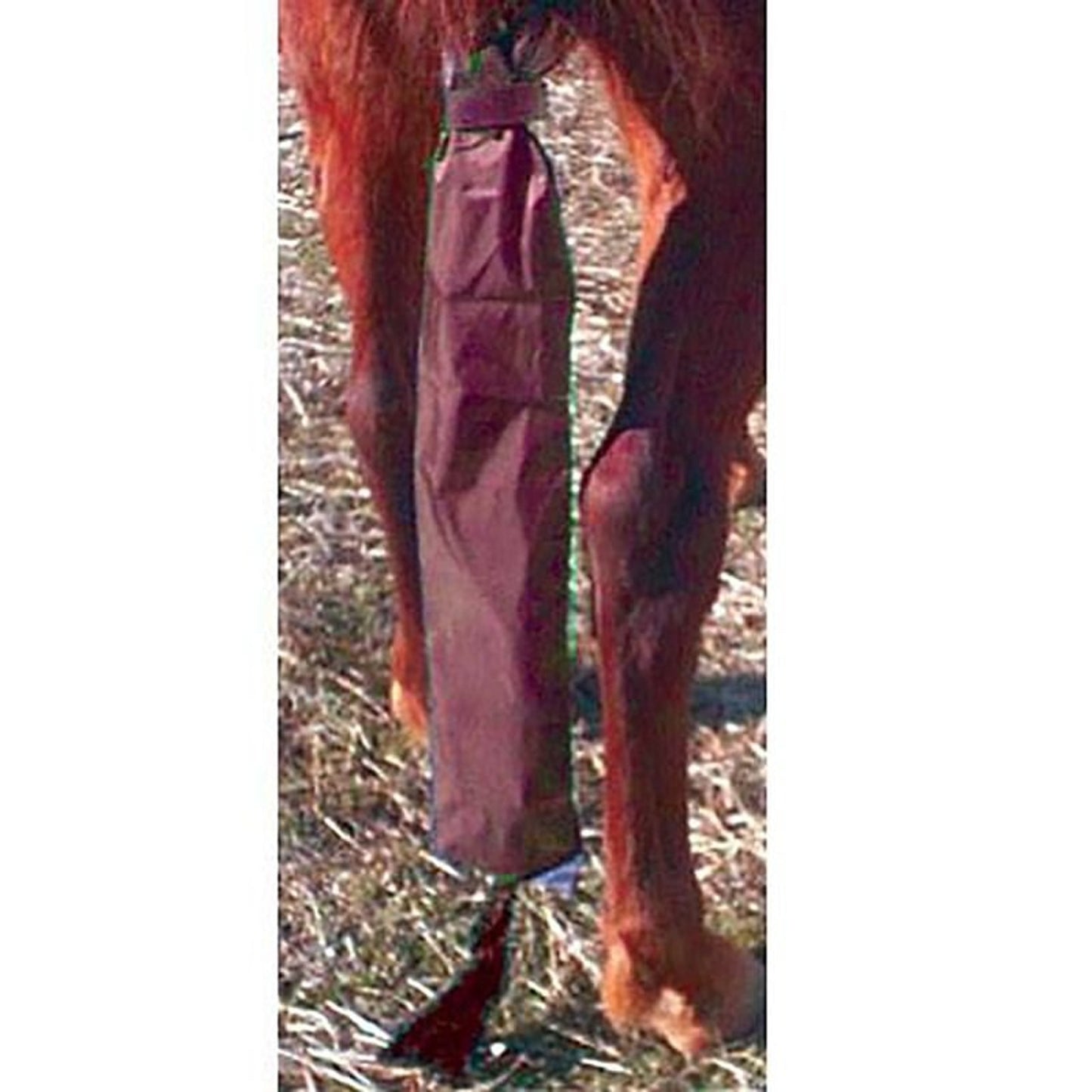 TE047151.jpg