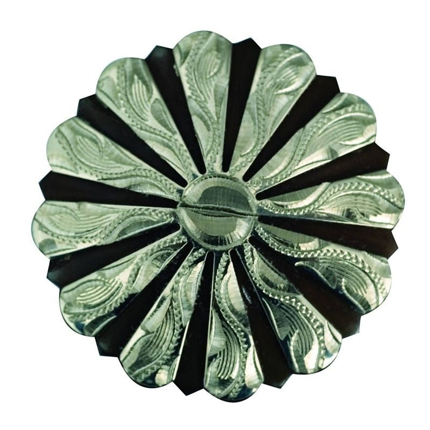 TE048495.jpg
