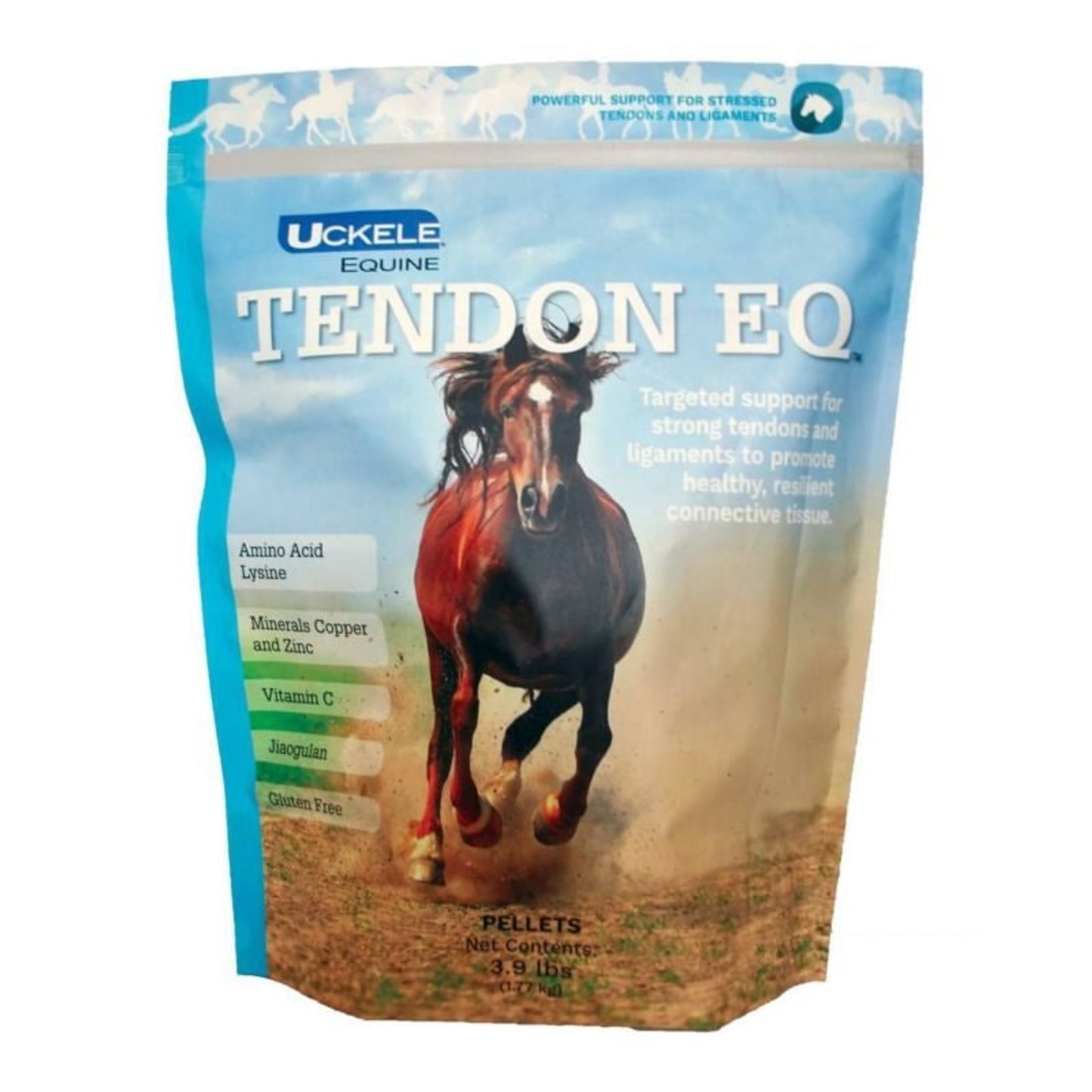 TE052900.jpg