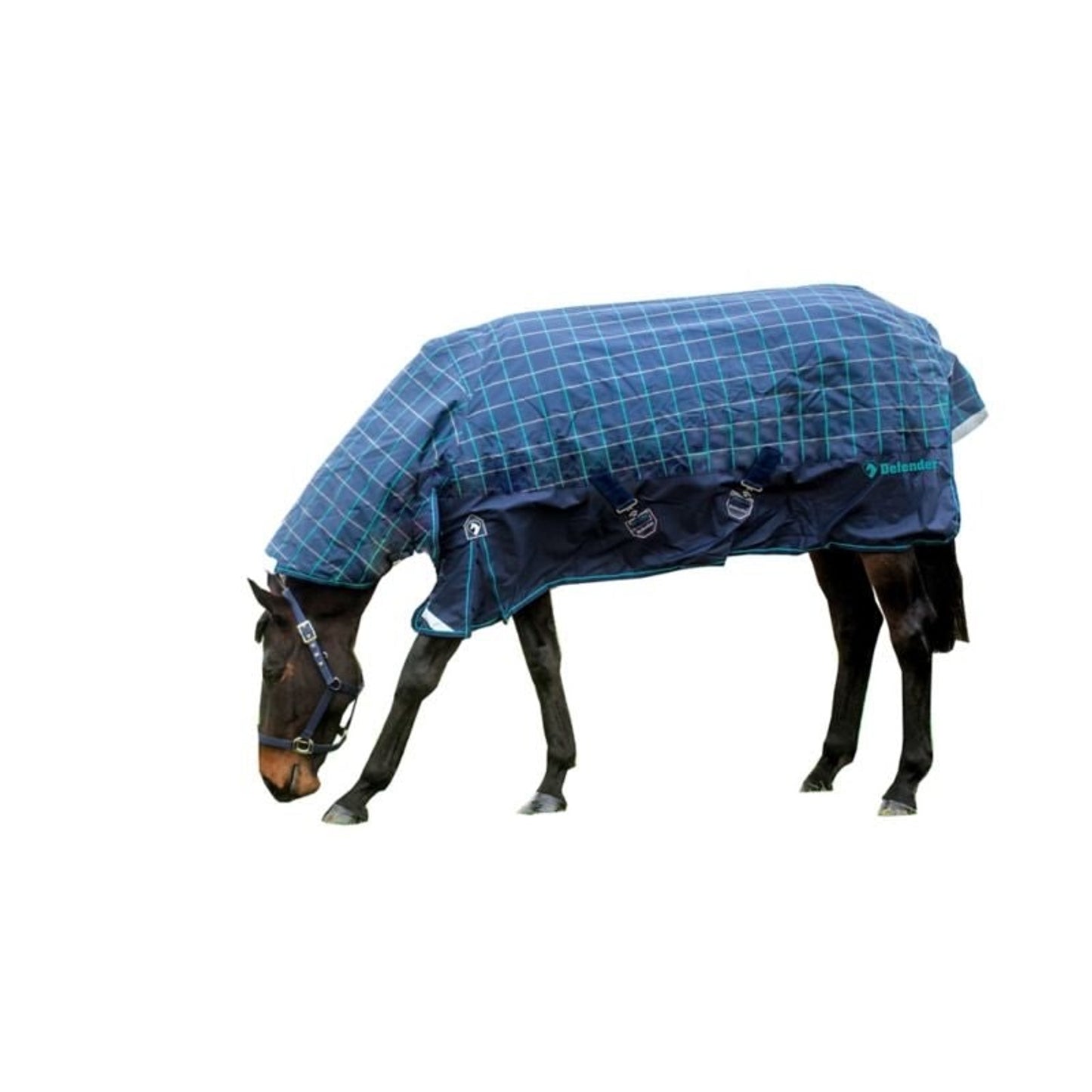TE073016_P_WO.jpg