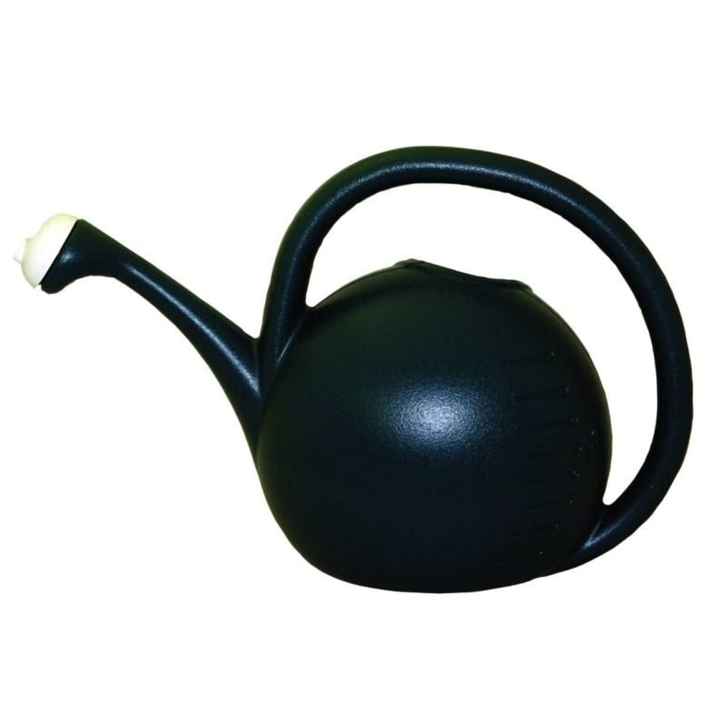 TG40718.jpg
