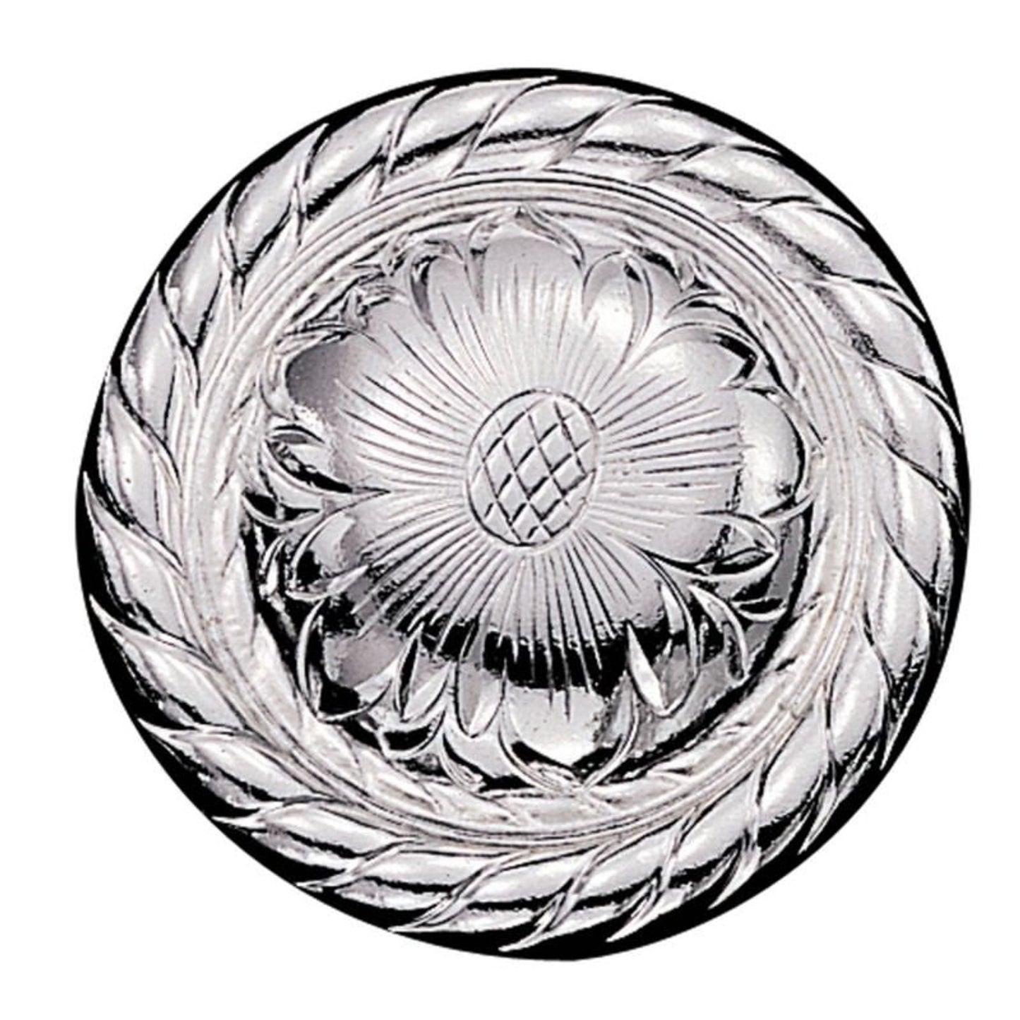 TH1104344.jpg