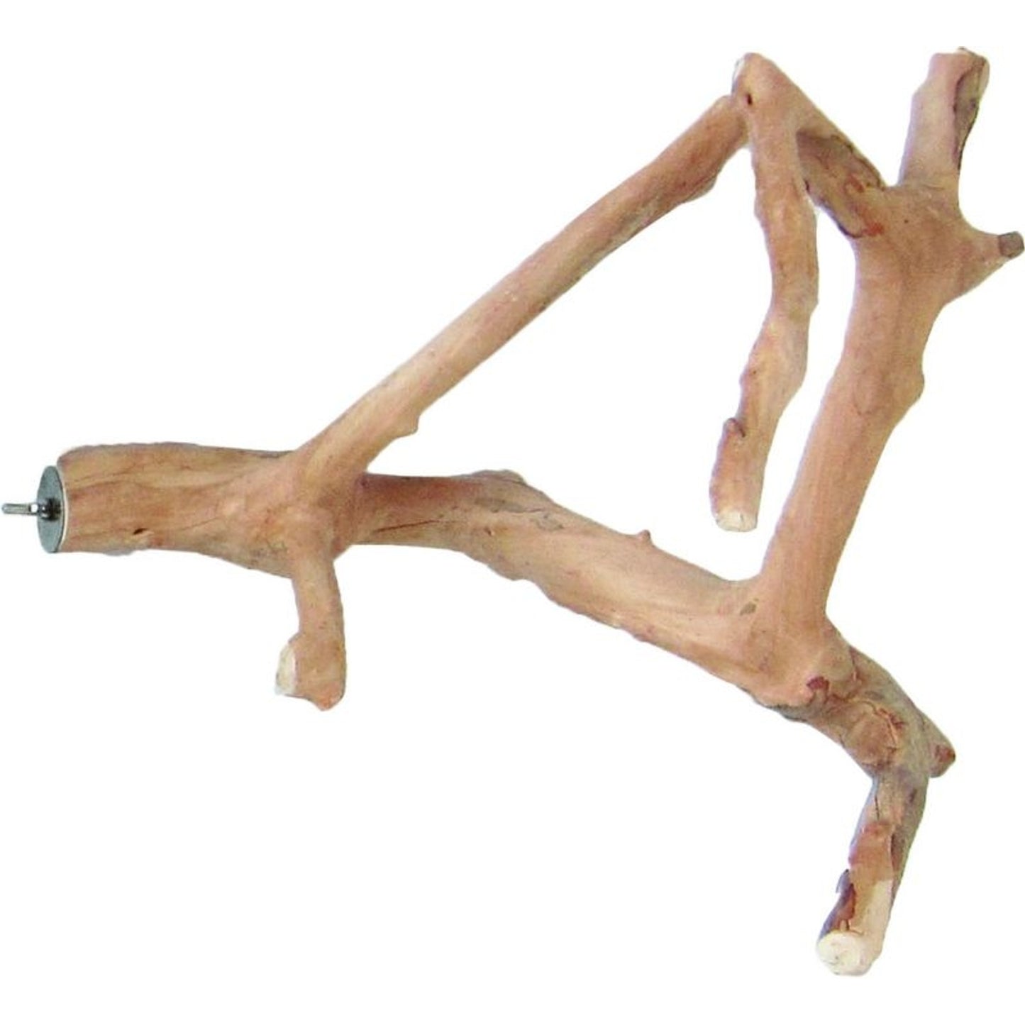 TH1320779.jpg