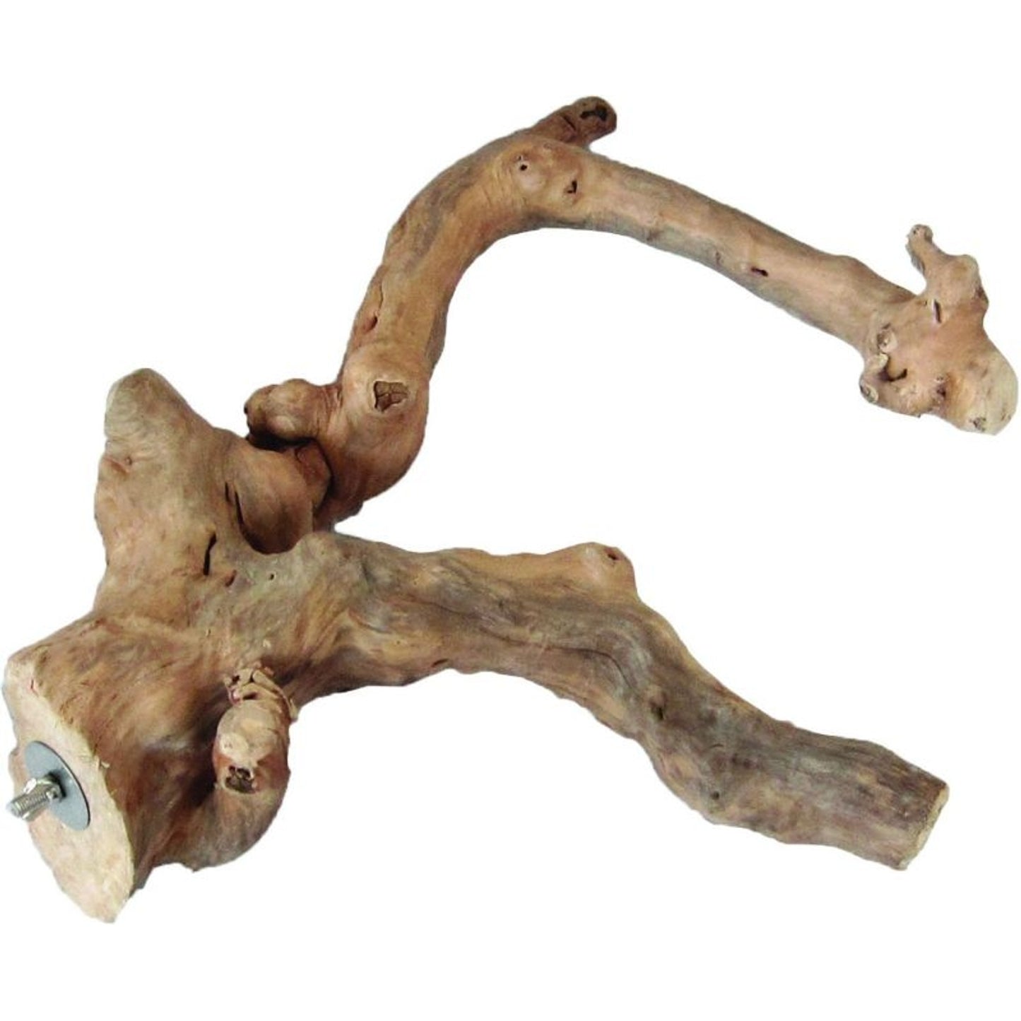 TH1320781.jpg