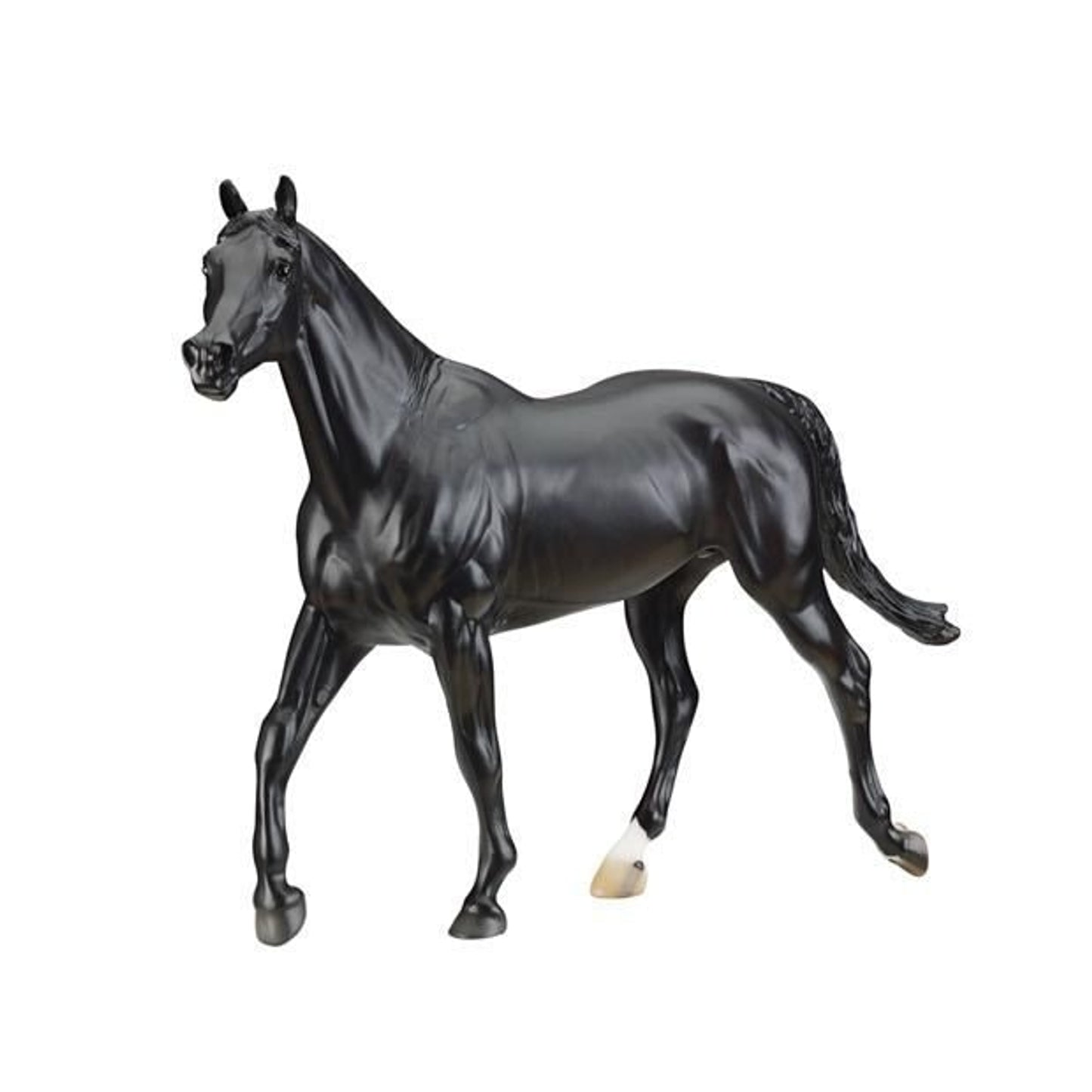 TH1390615.jpg