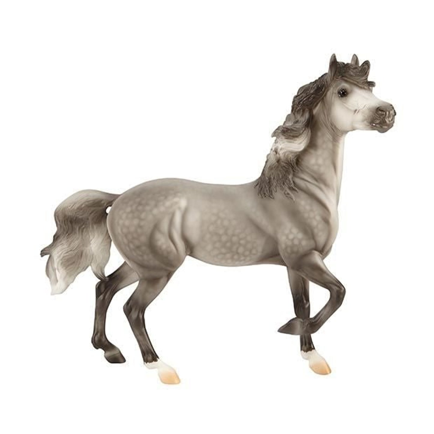 TH1448537.jpg