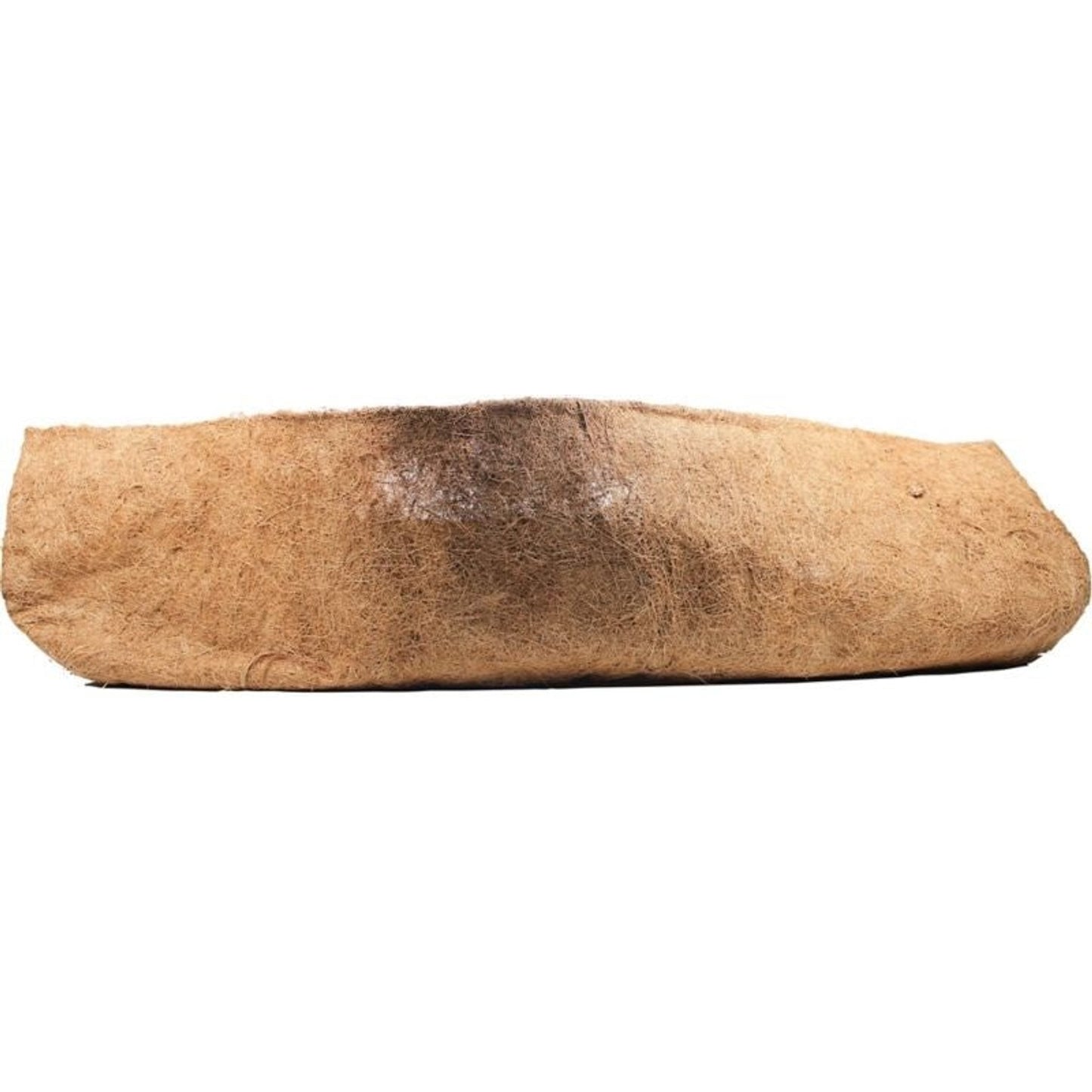 TH1485094.jpg