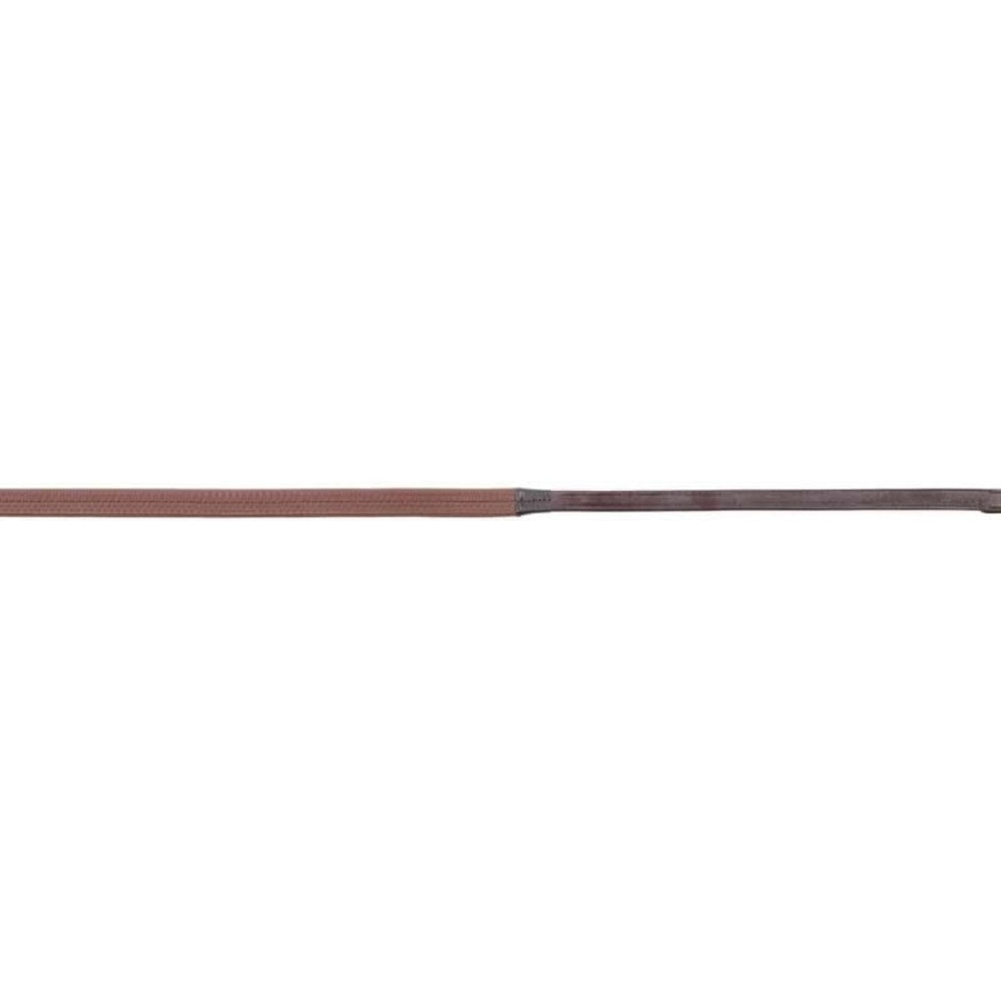 TH1505357.jpg