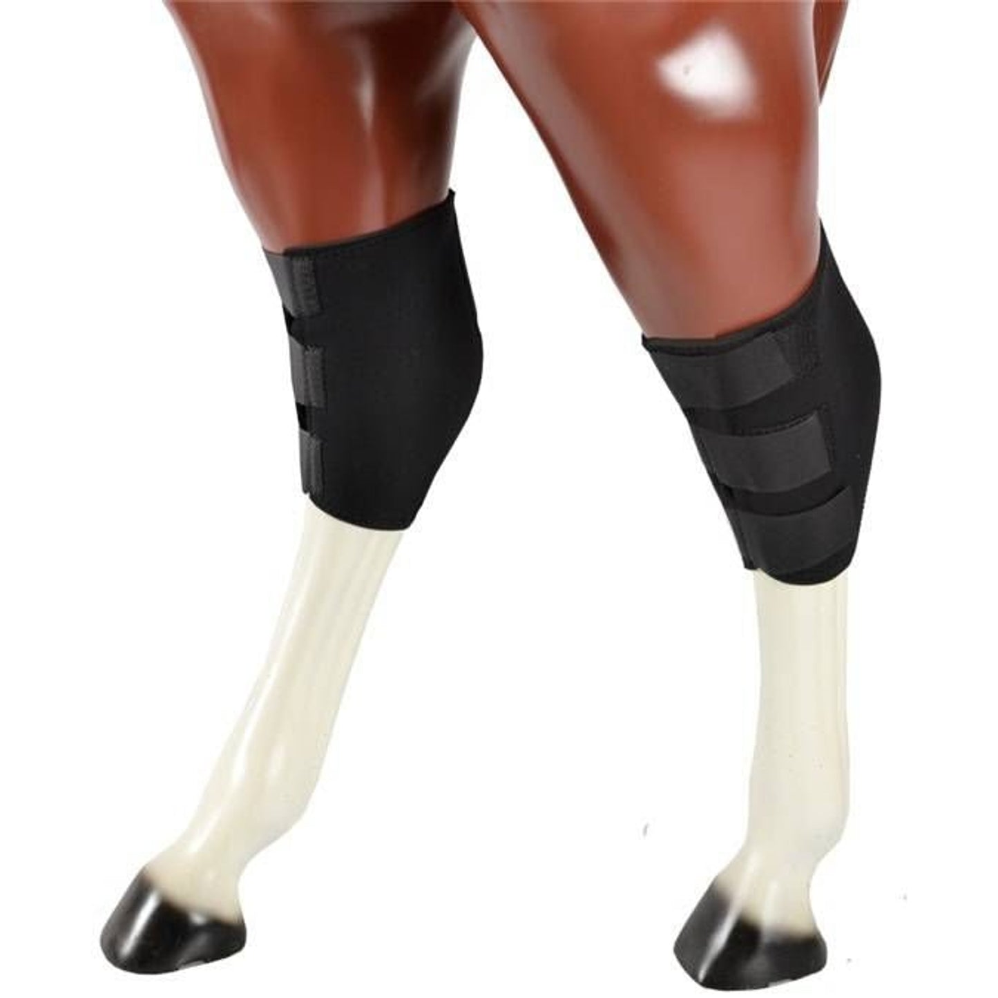 TH1656765_454202.jpg
