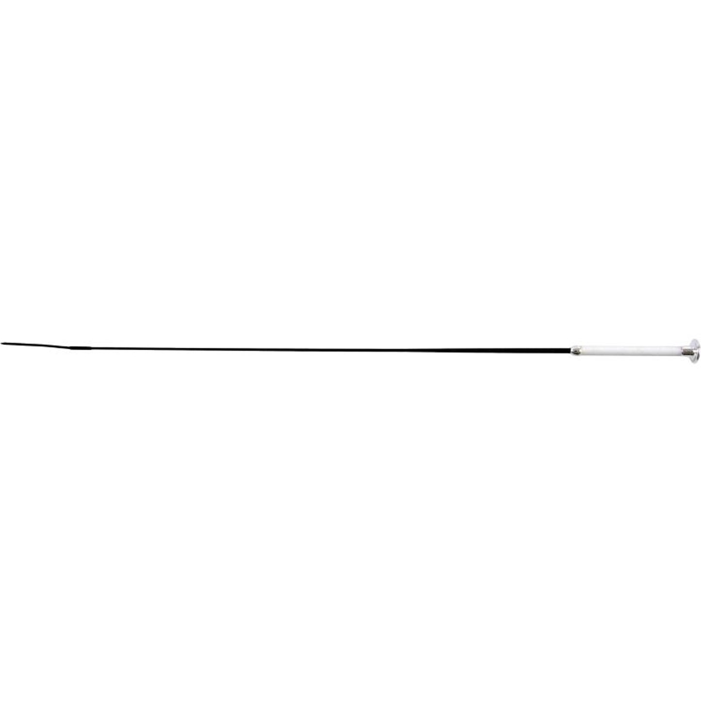 TH1661850_15115.jpg