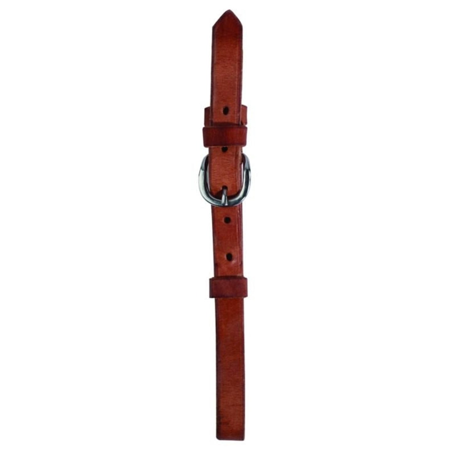 TH1668530_15146.jpg