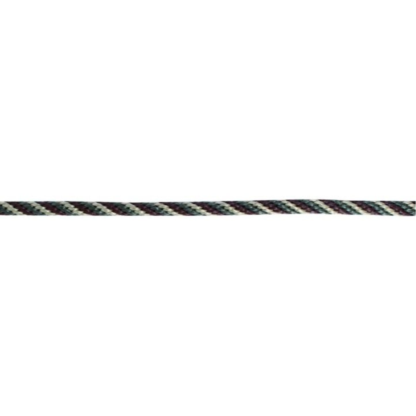 TH1691896.jpg
