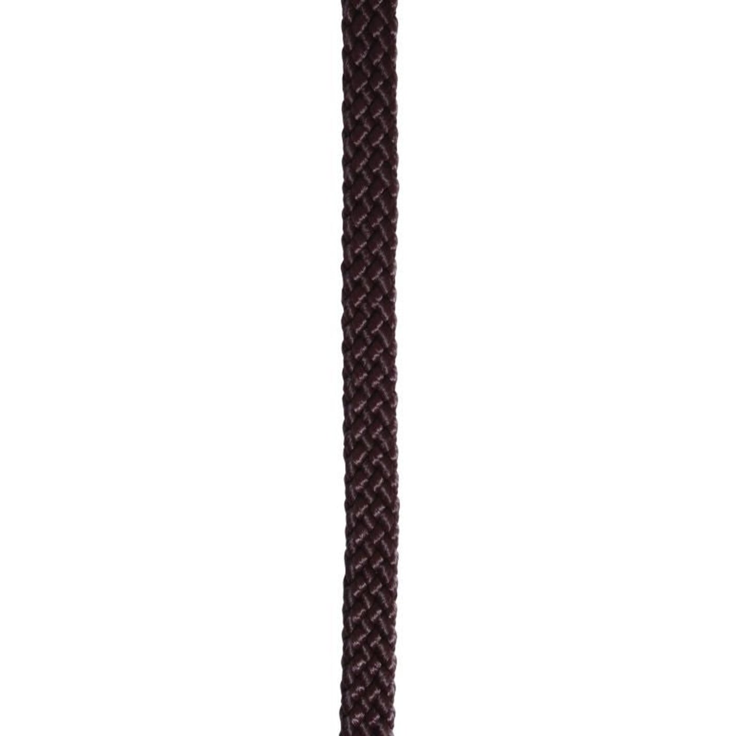 TH1691910_P.jpg
