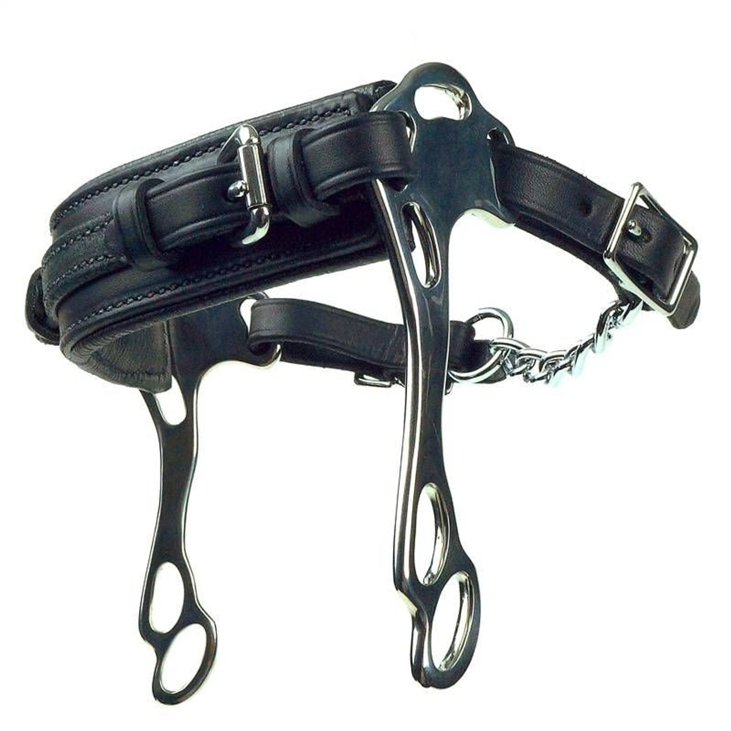 TH1720555.jpg