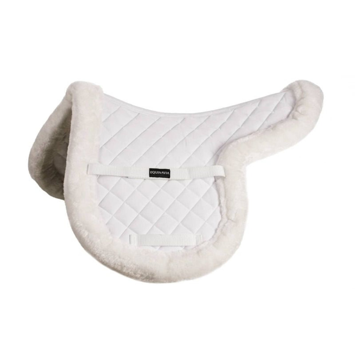 TH1749027_P.jpg