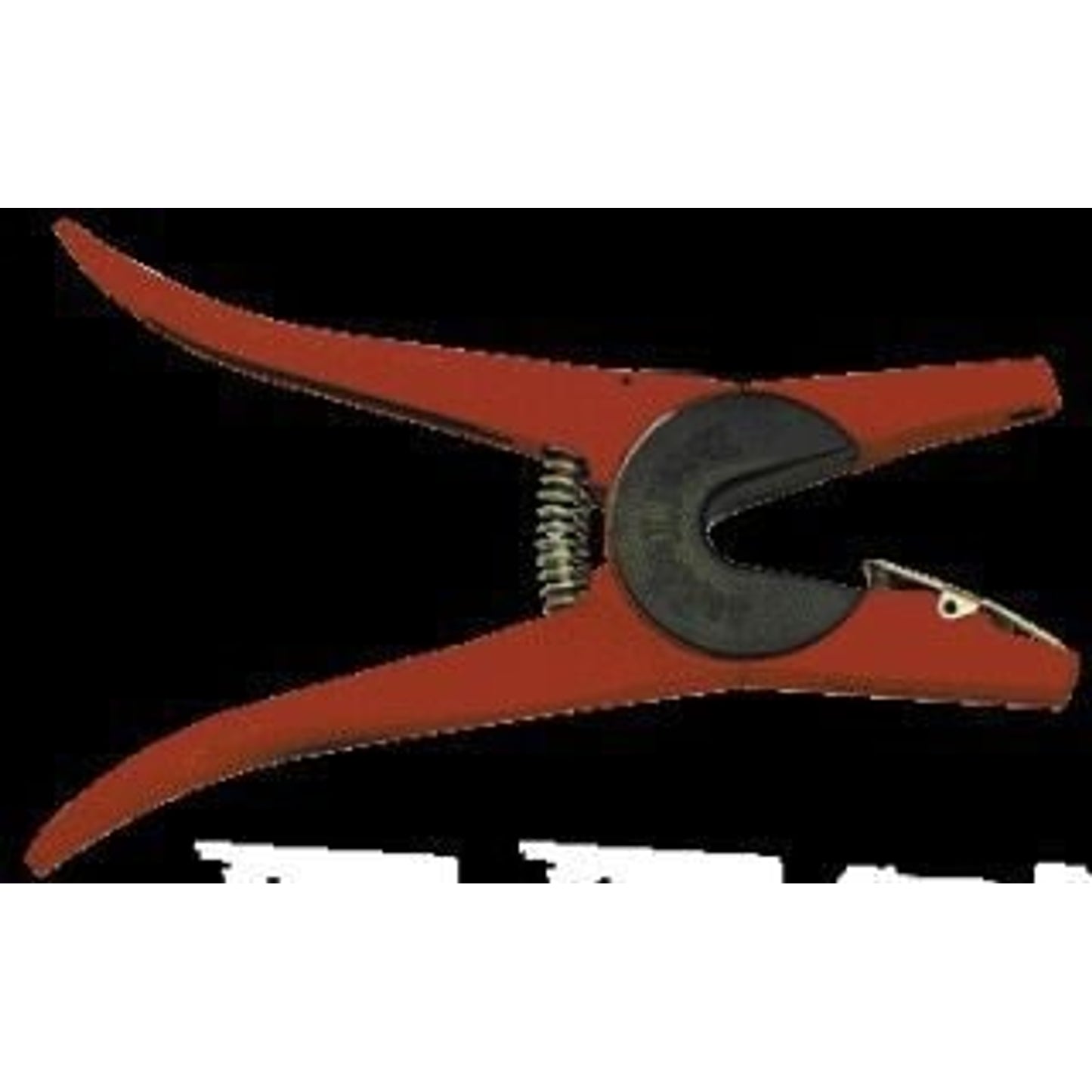 TH237100.jpg