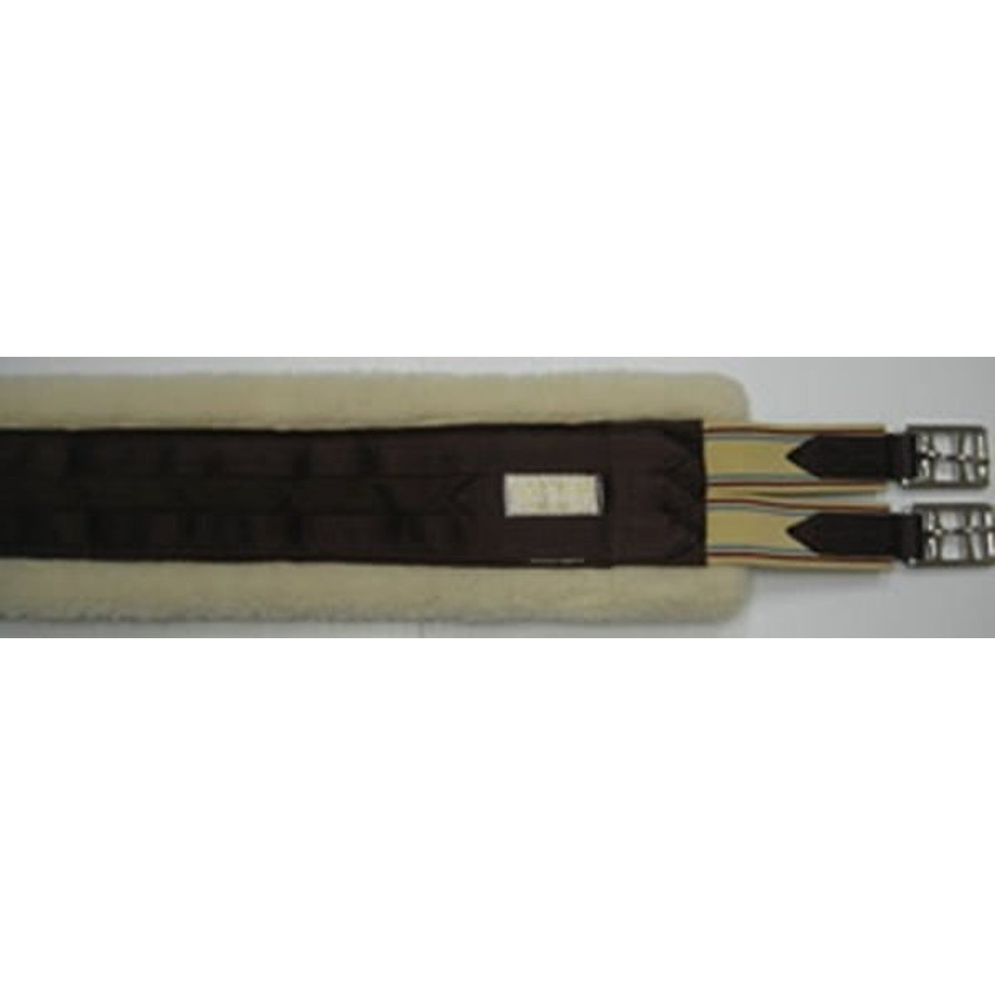 TH258149.jpg