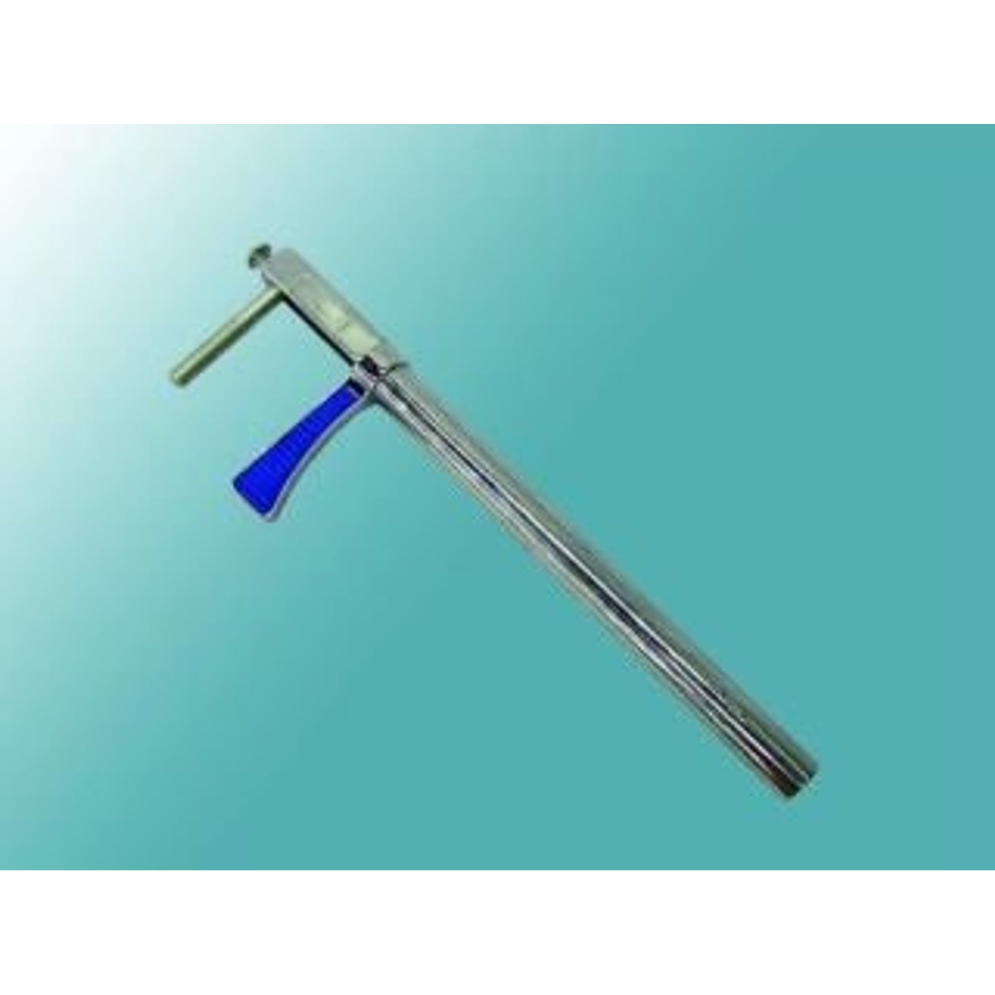 TH306829.jpg