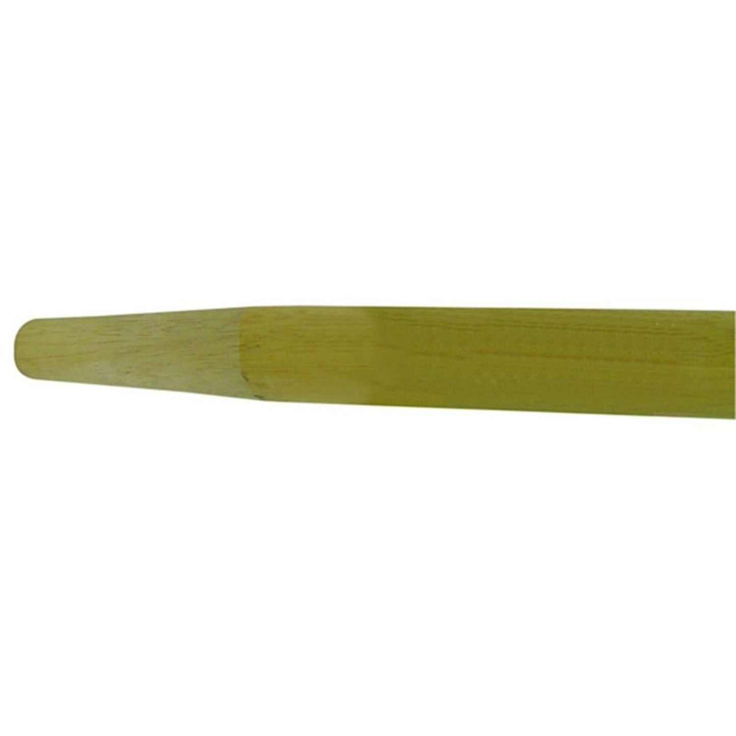 TH408554.jpg