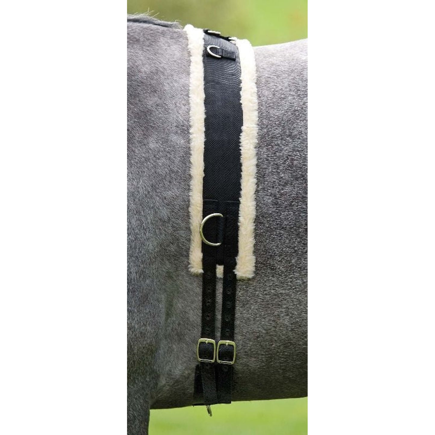 TH883654.jpg