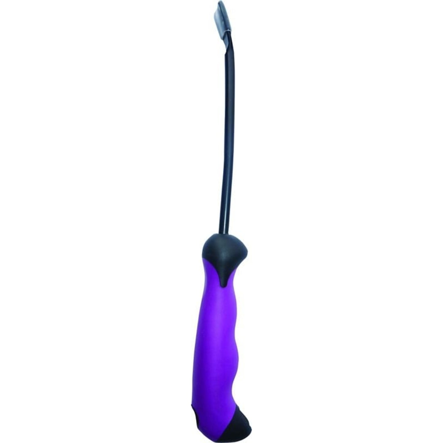 TH978462.jpg