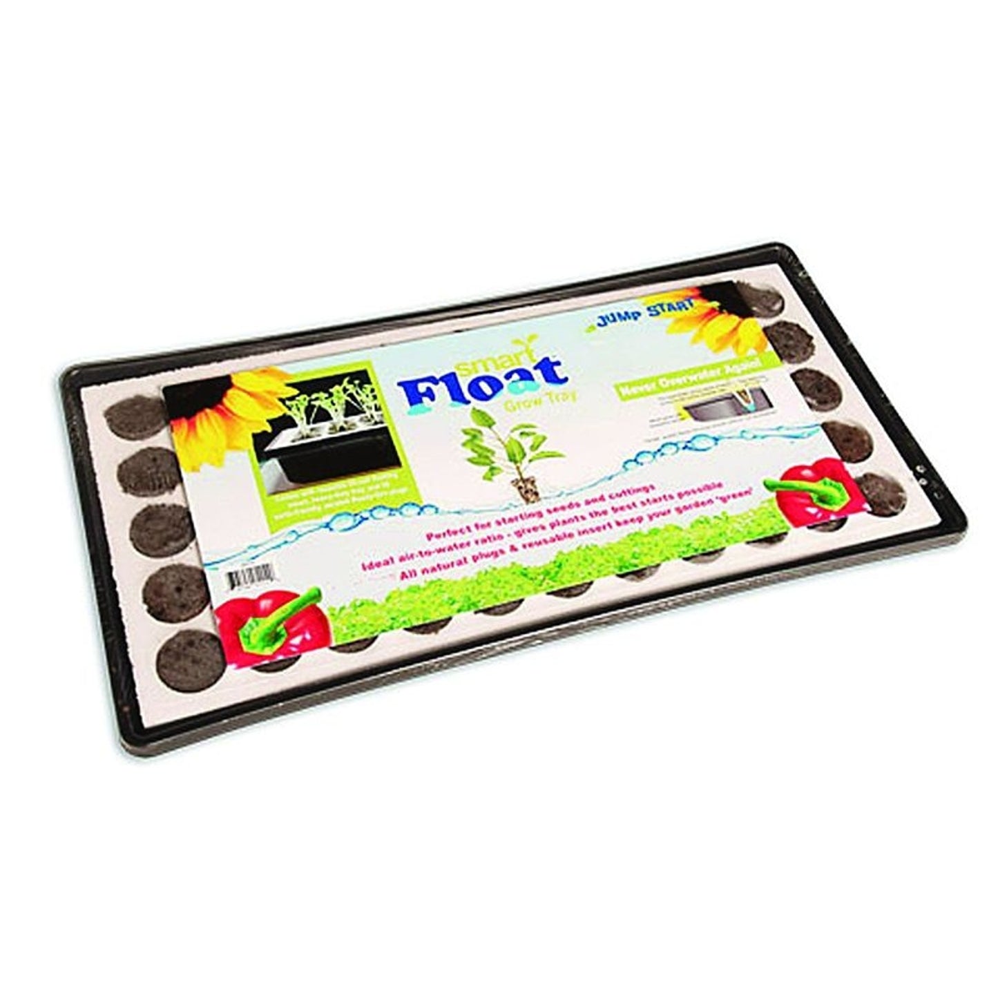TH979810.jpg