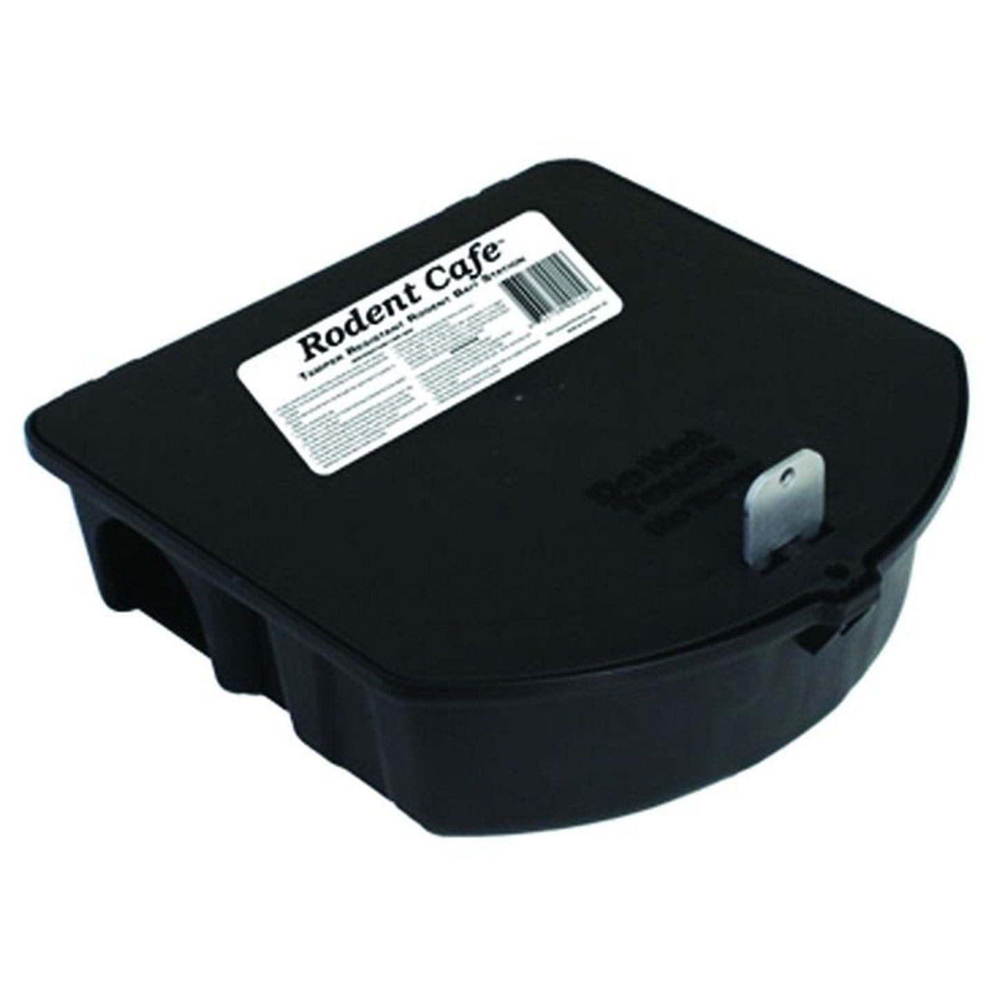 TH980475.jpg