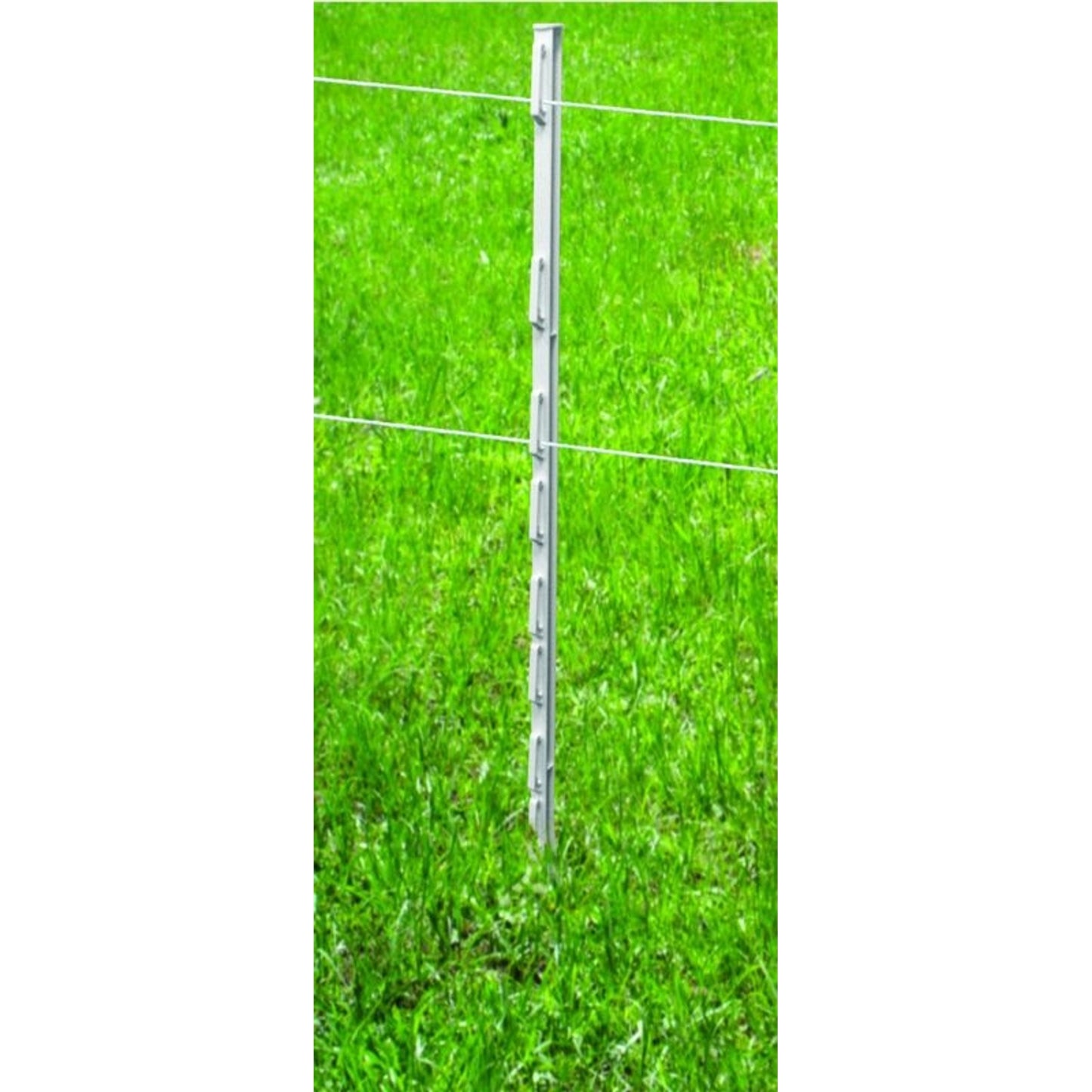 TH985607.jpg