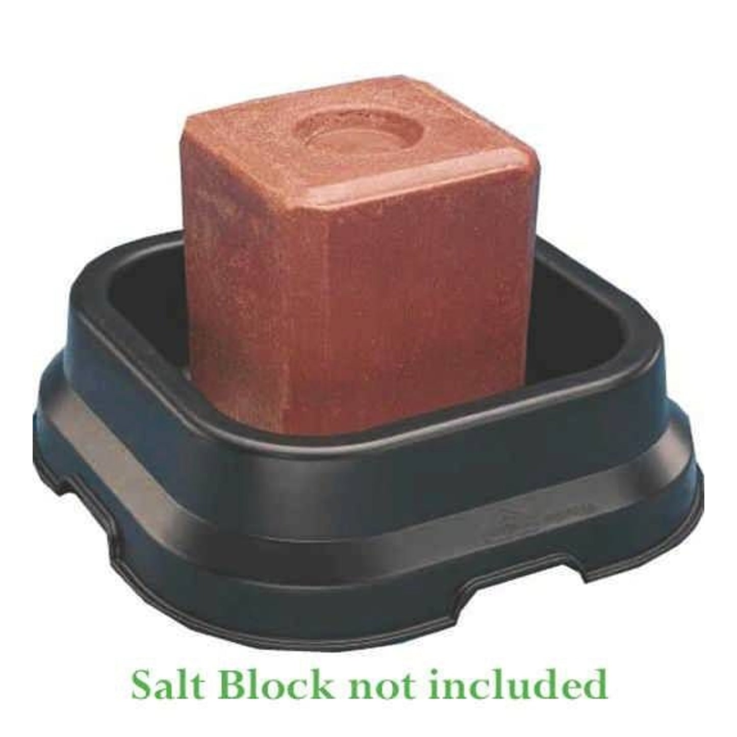 TSLT310528.jpg