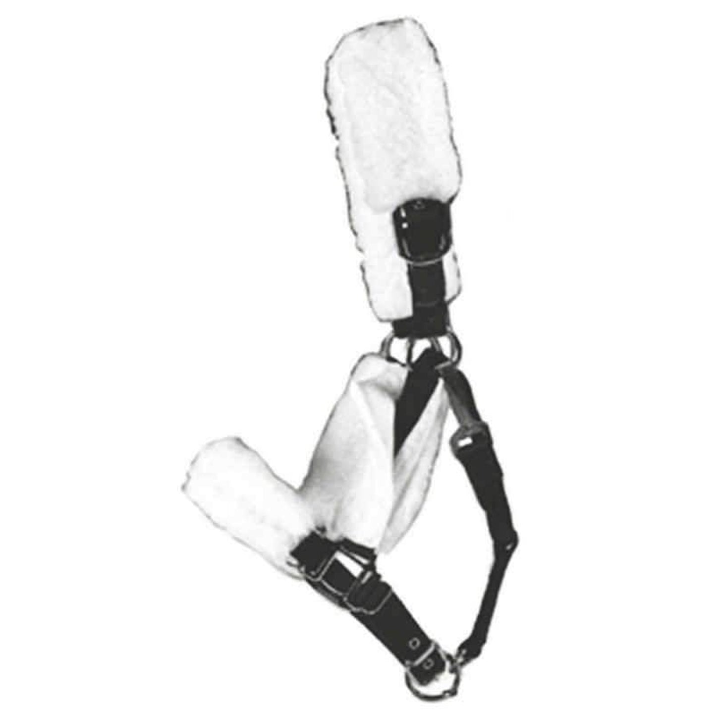 TSLT730099_WHT_01.jpg