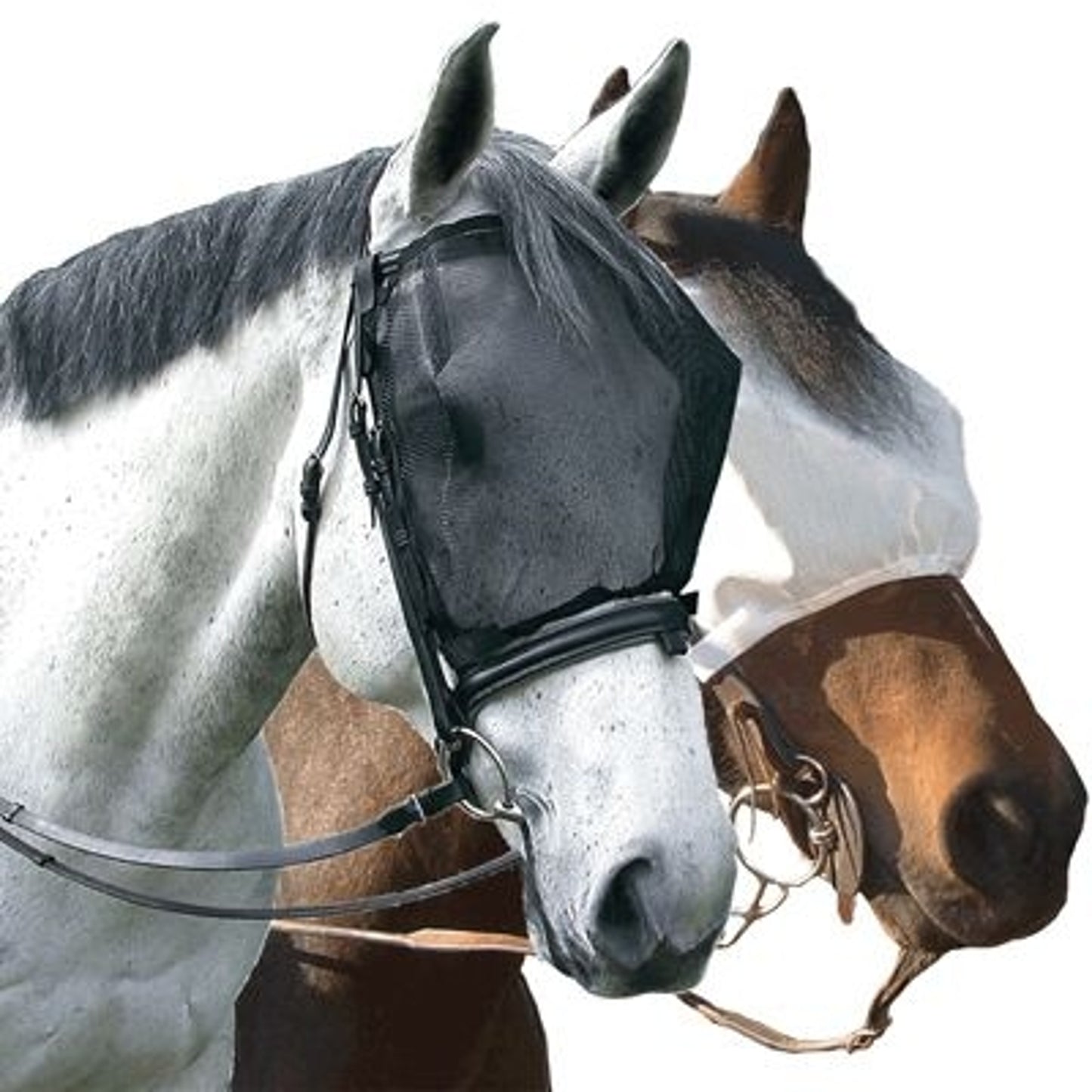TSLT900200_100566.jpg