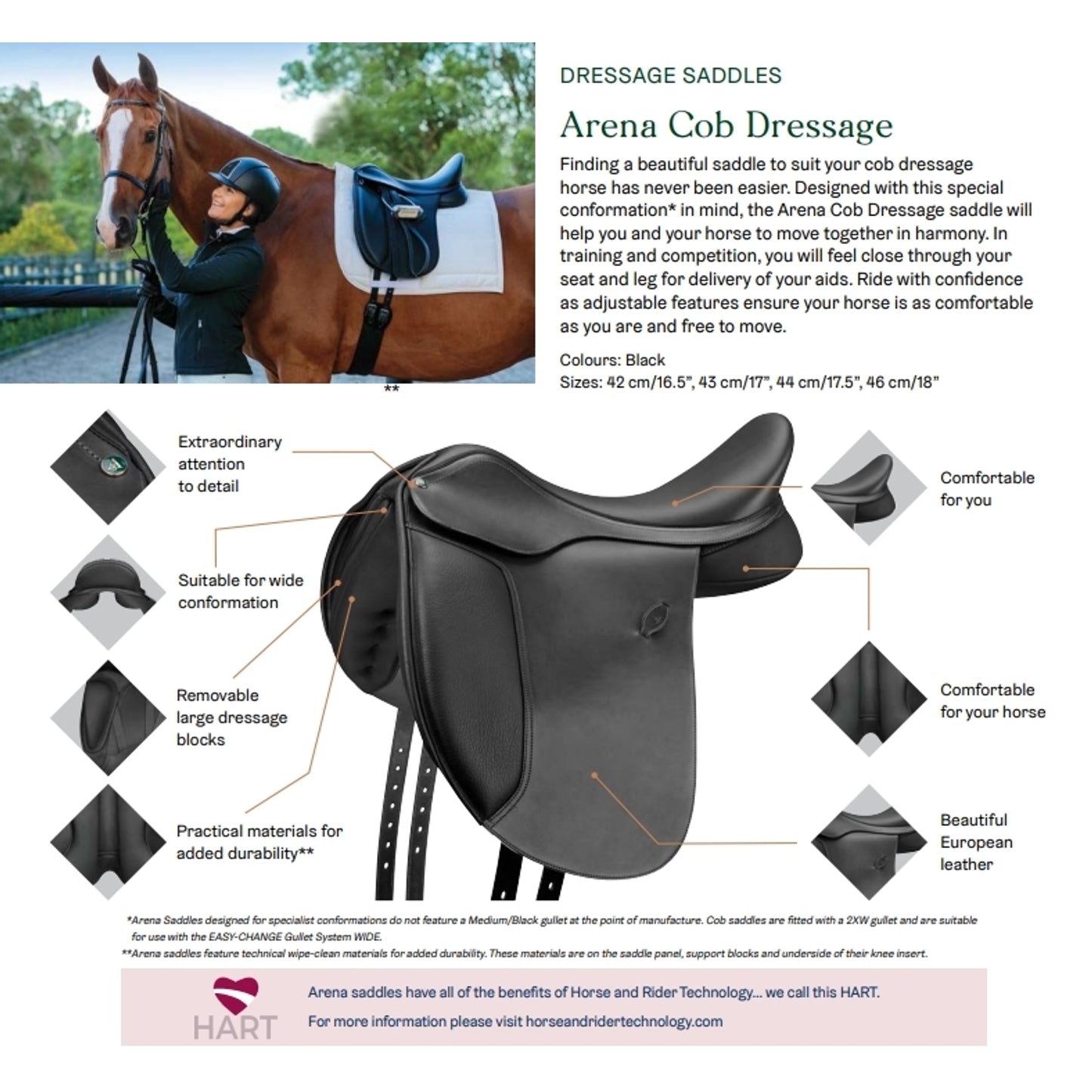 arenacobdressage.jpg
