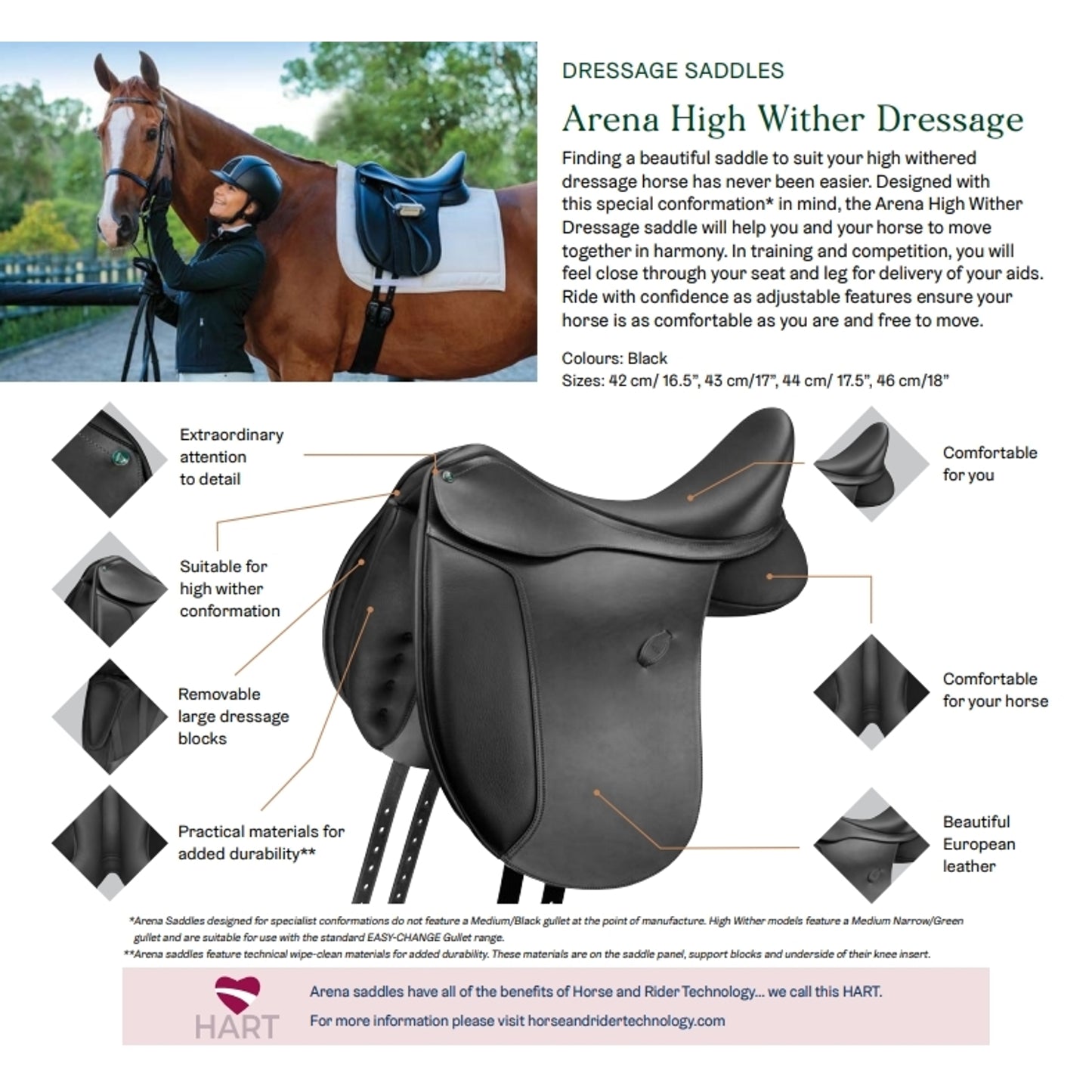 arenahwdressage.jpg