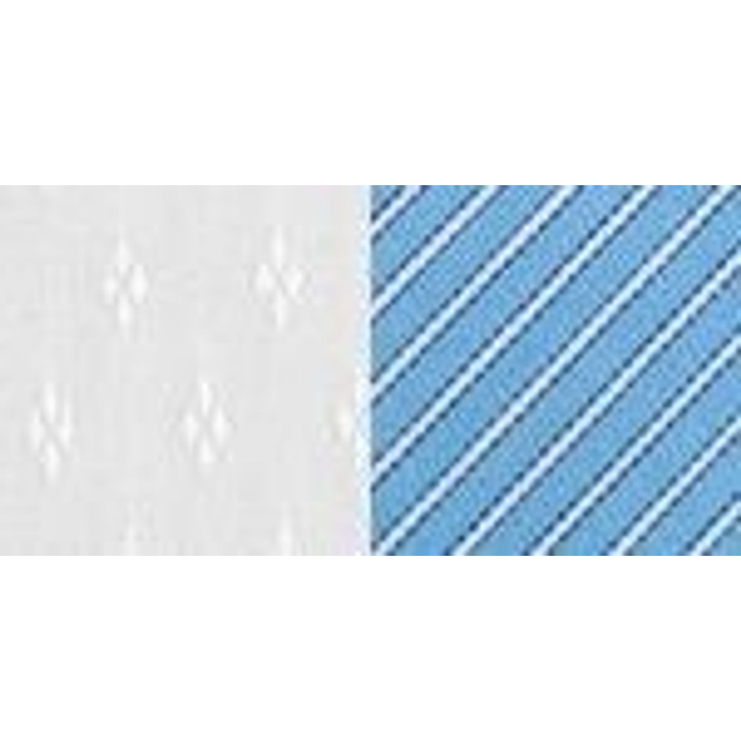 ex00181-whitedblue.jpg