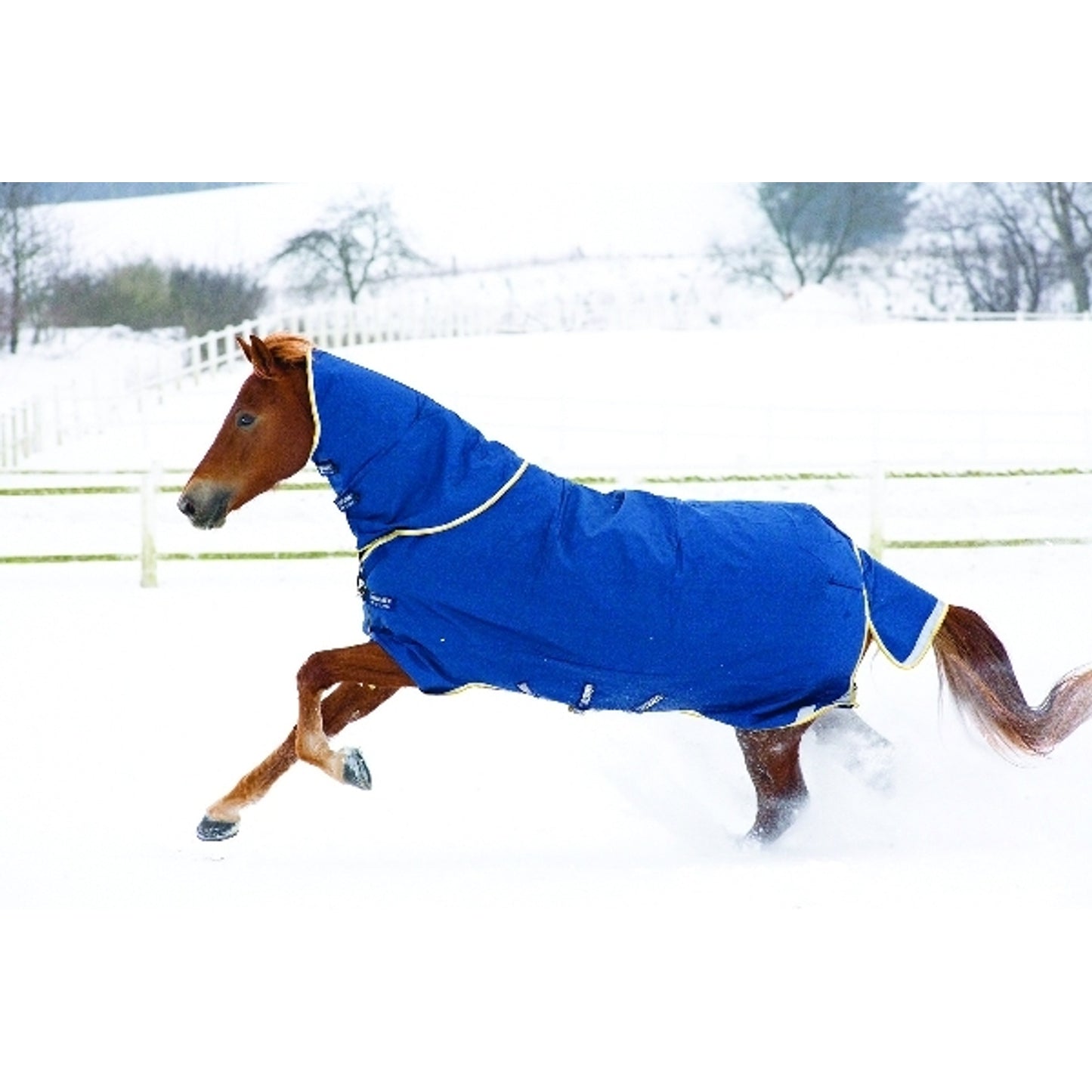 horseware-aaaa96_bolm_01.jpg