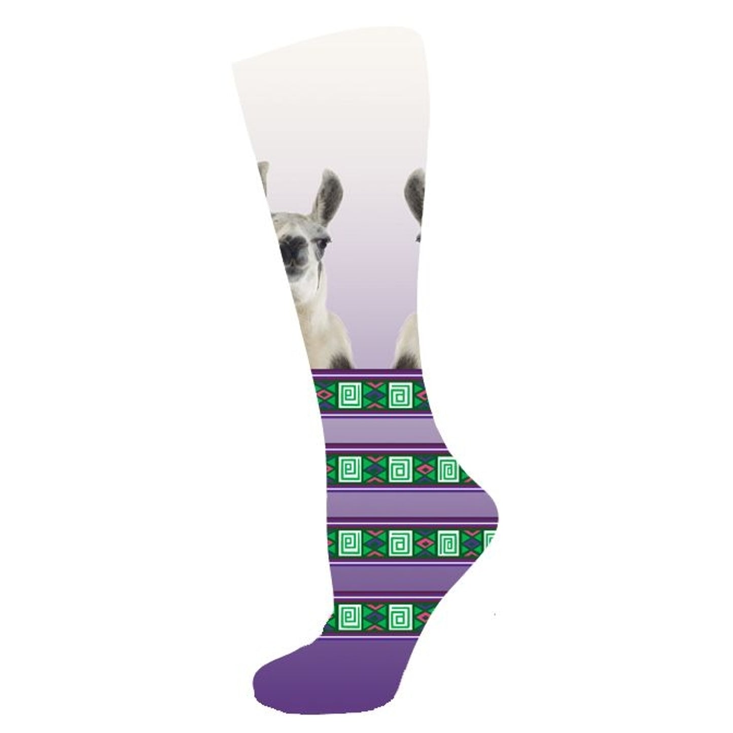 is00007r-llama.jpg