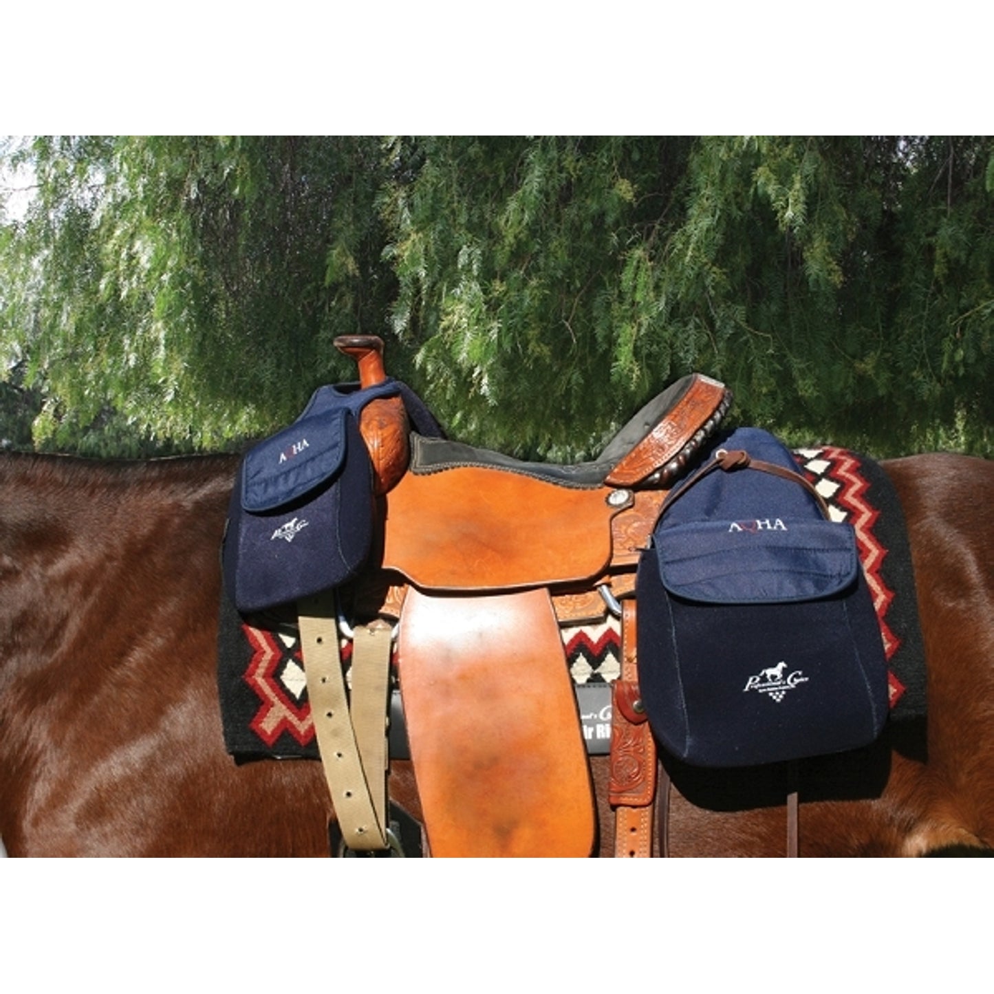 pc-aqha_saddlebags.jpg