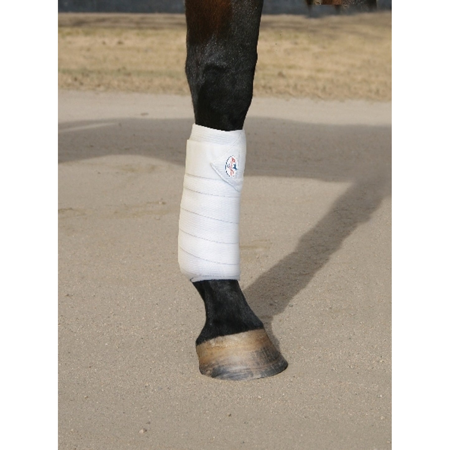 pc-combobandage_onhorse.jpg