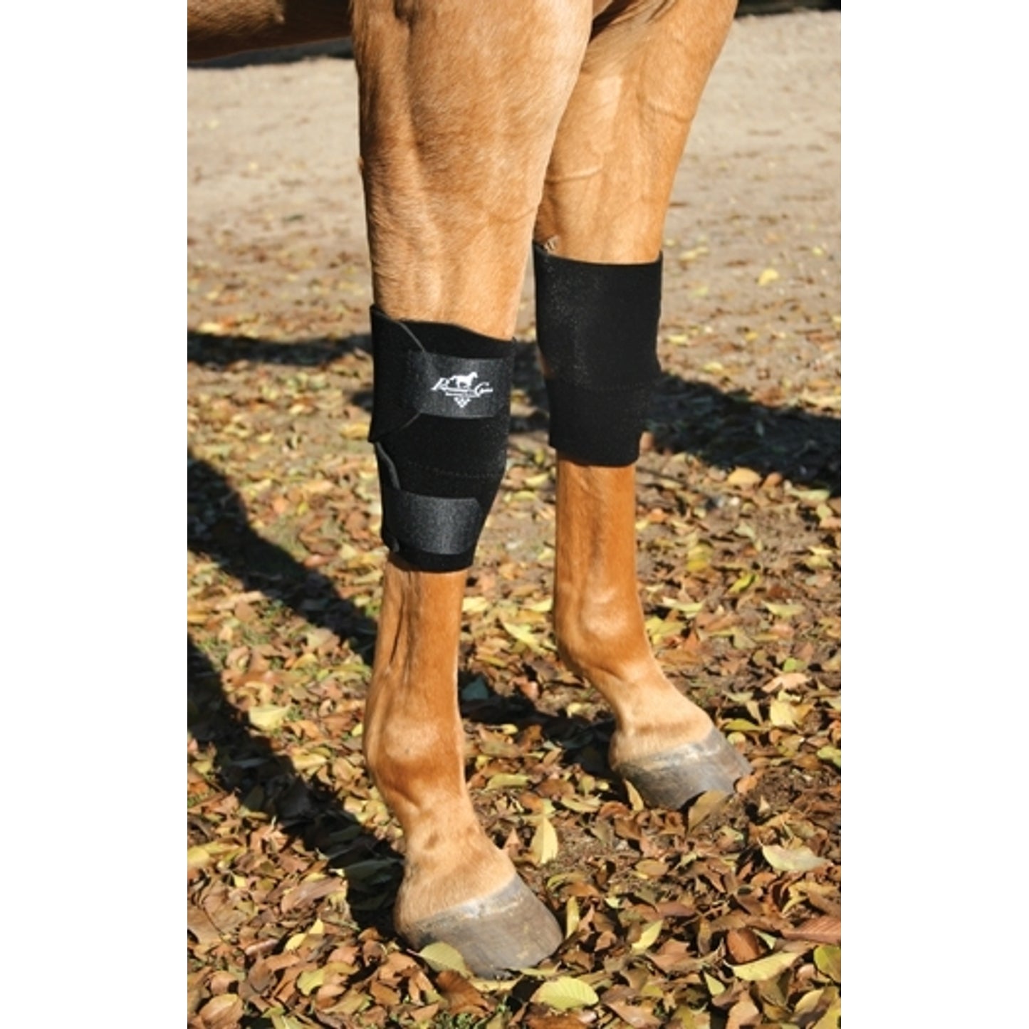 pc-knee_boots.jpg