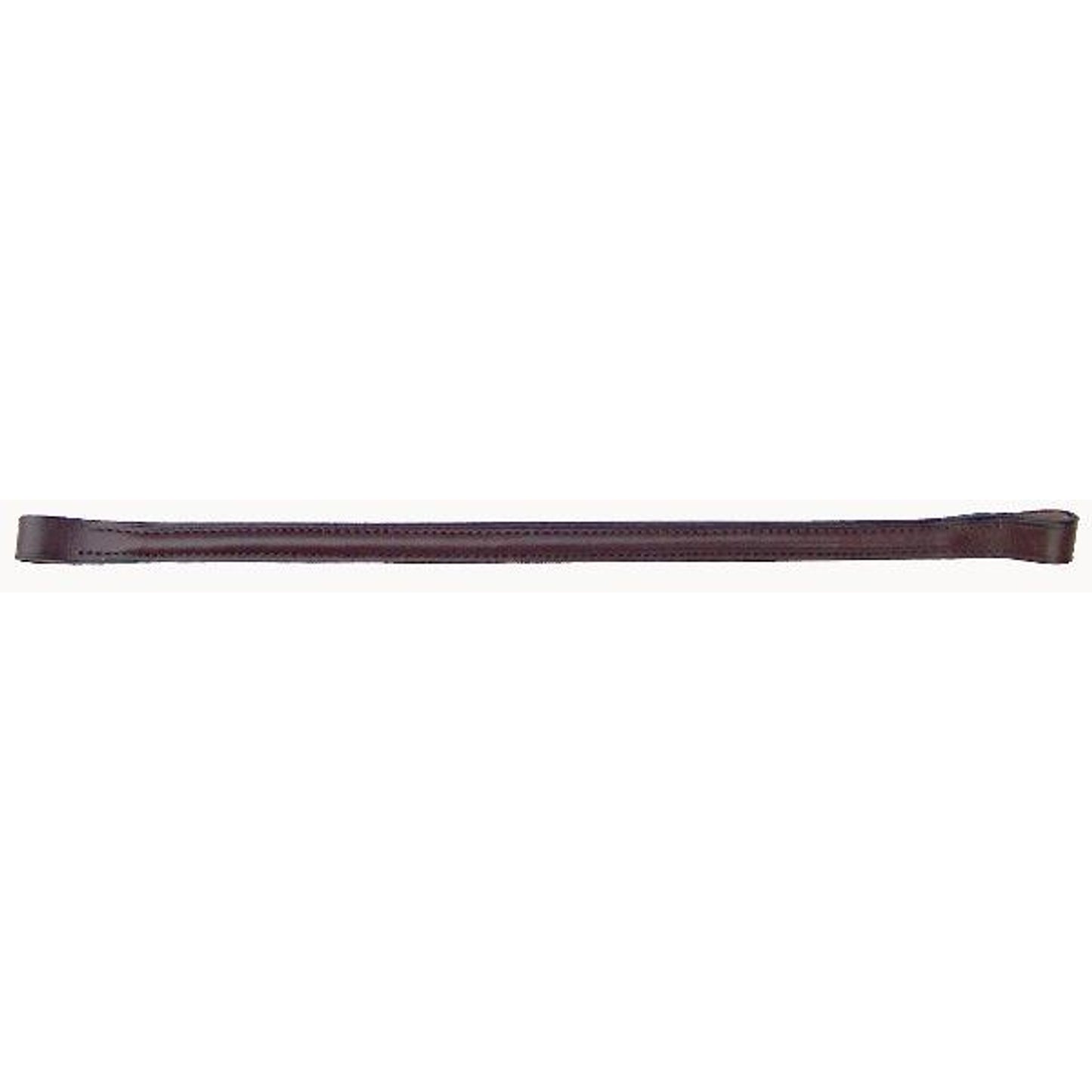 thorn25602.jpg