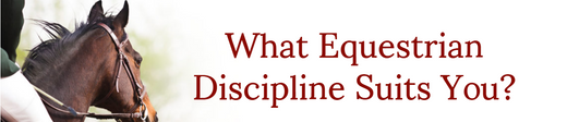 What Equestrian Discipline Suits You