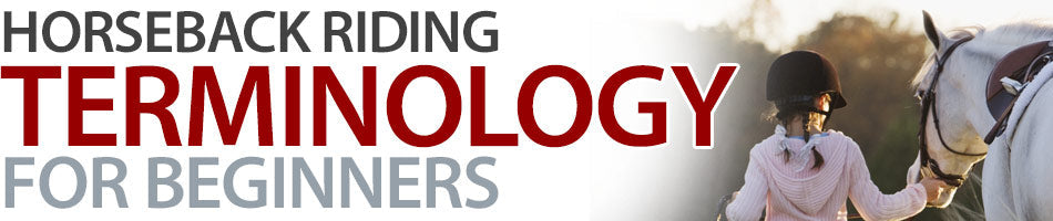 Horseback riding terminology for beginners